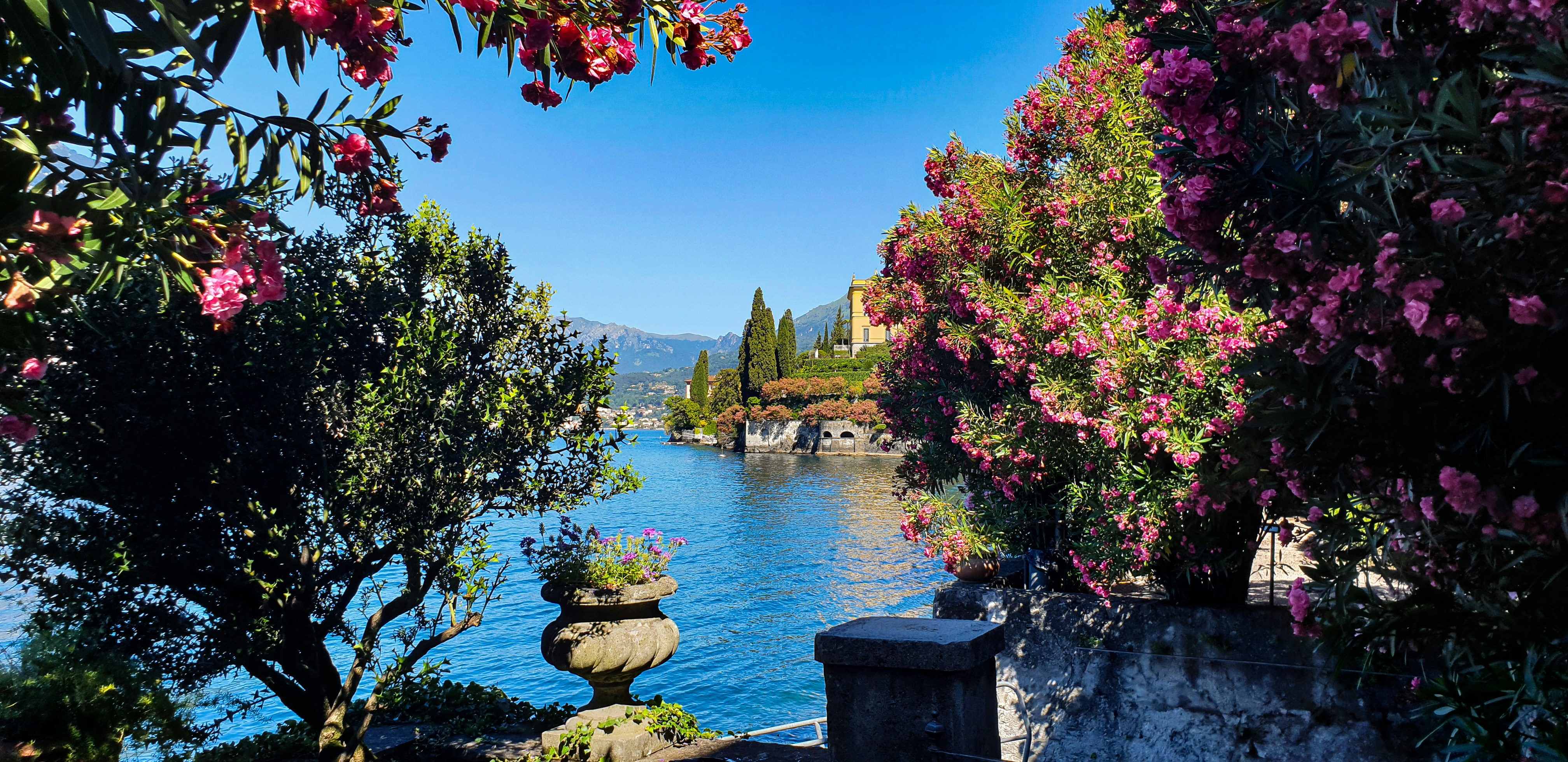 a body of water with trees around it and buildings around it