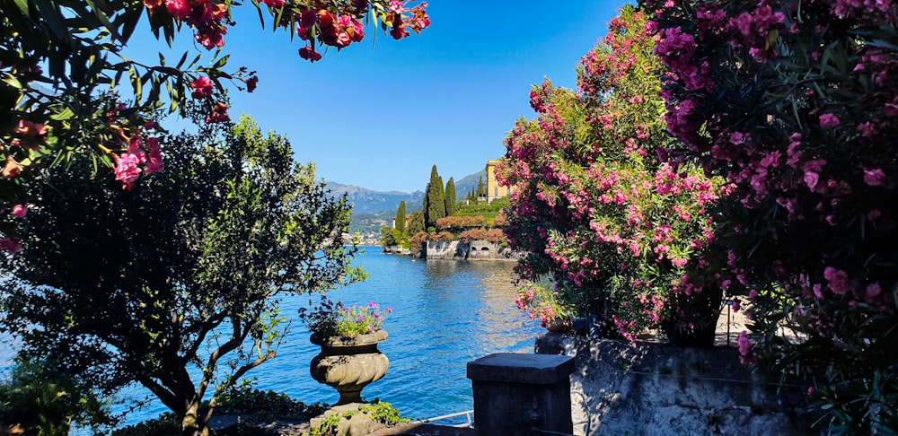 a body of water with trees around it and buildings around it