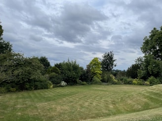 Тревна градина с дървета на заден план, наскоро подсята за по‑гъста морава в Пазарджик