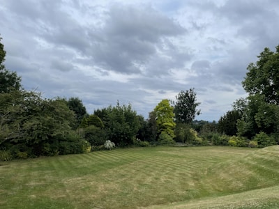 Тревна градина с дървета на заден план, наскоро подсята за по‑гъста морава в Пазарджик