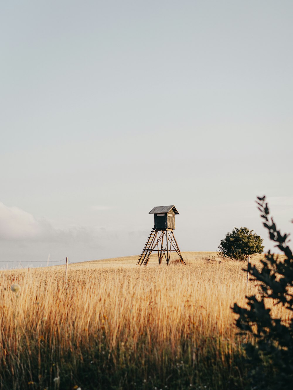 a structure in a field