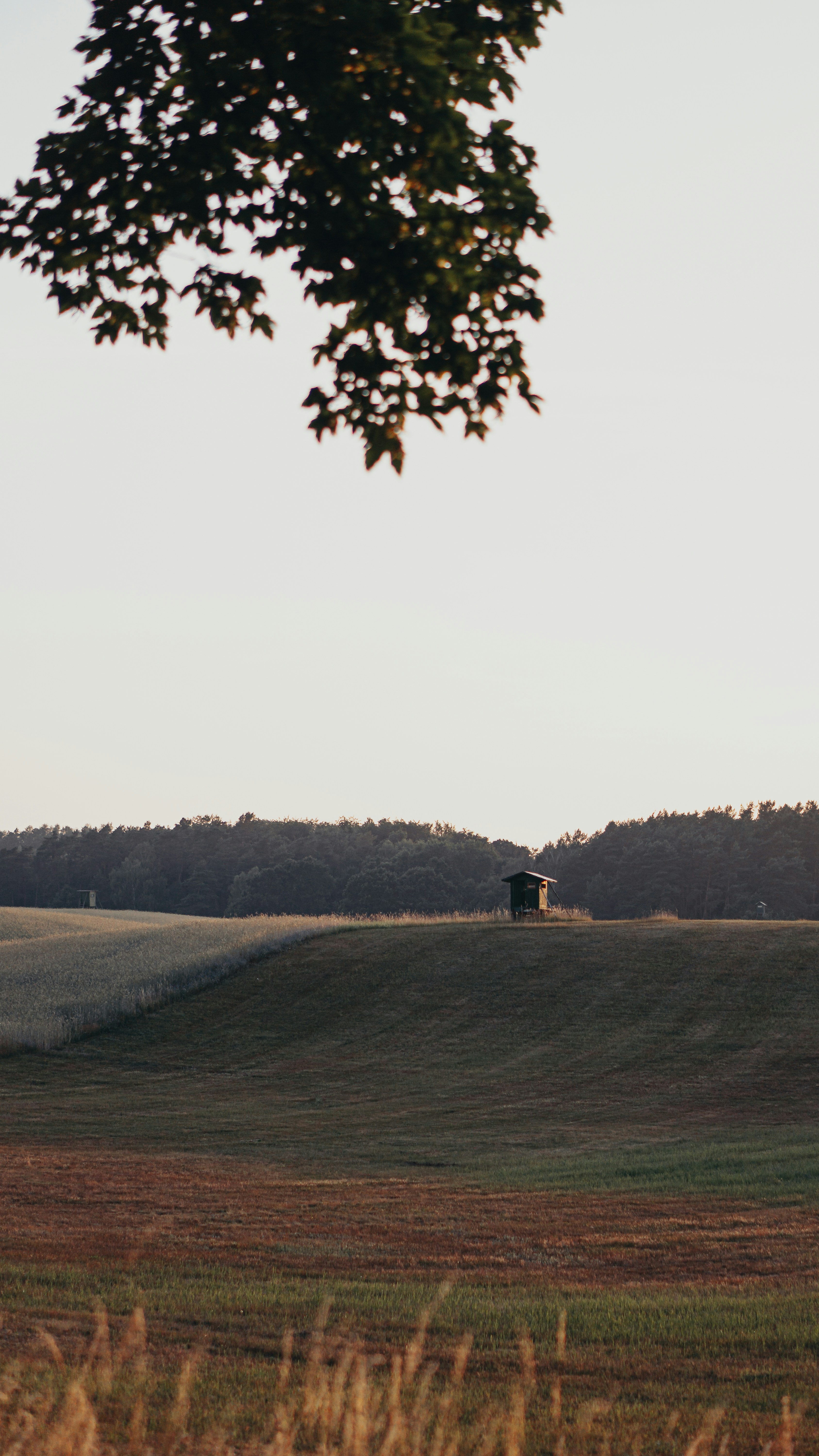 Photo by bielej