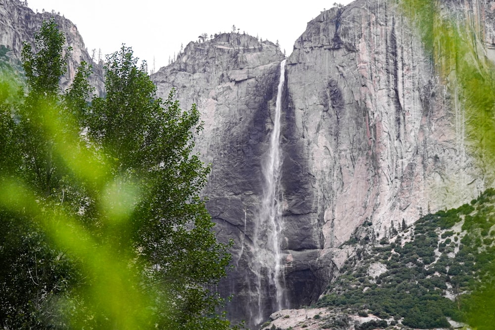 a waterfall in a forest