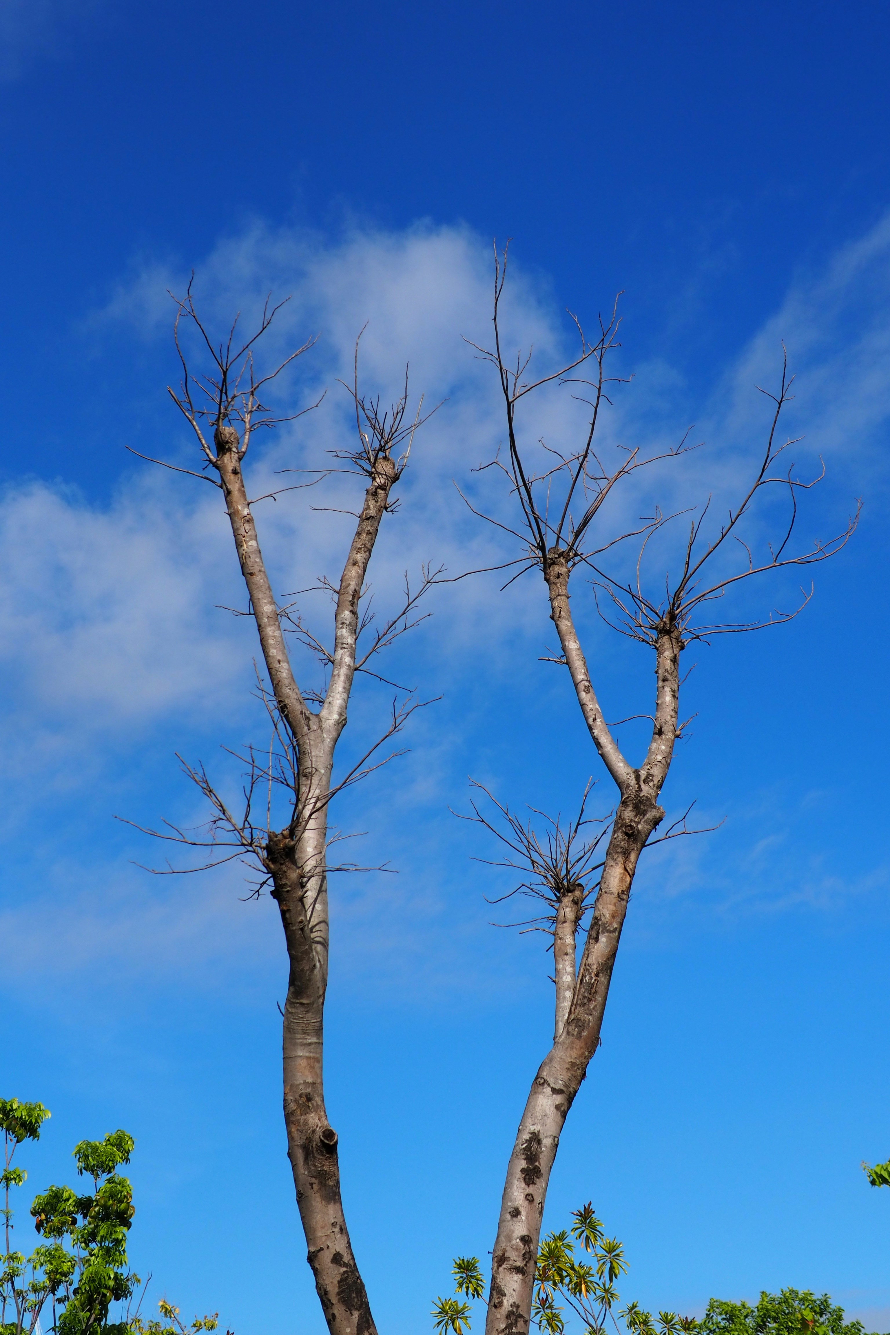 Photo by rutpratheep