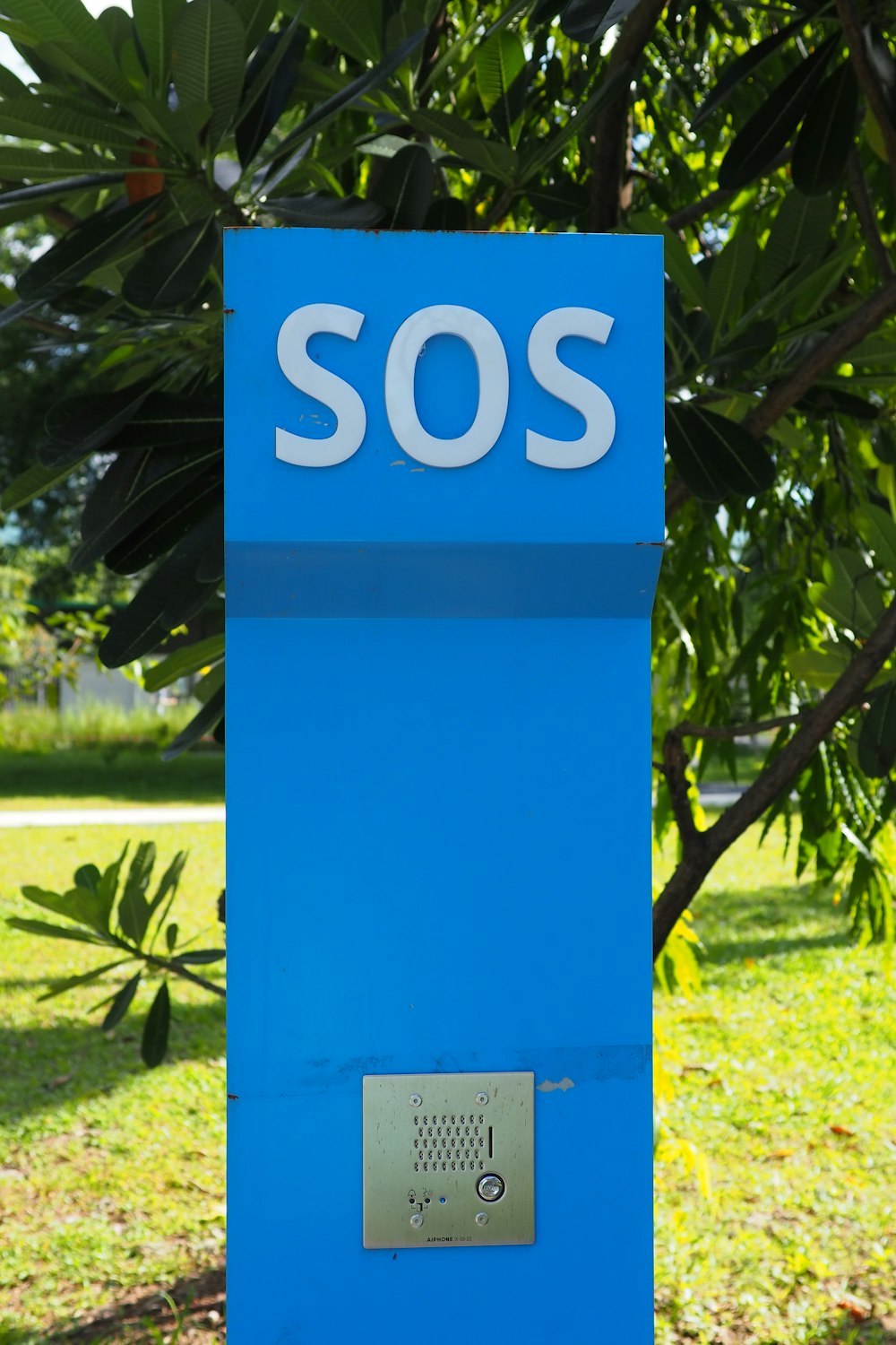 a blue sign on a tree