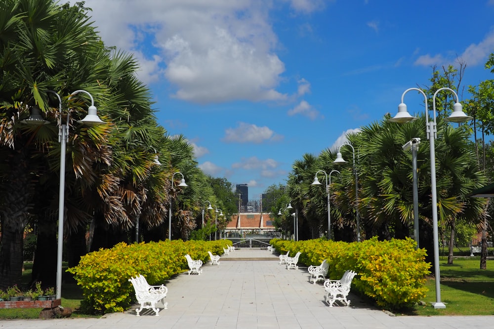 a walkway with palm trees and a city in the background