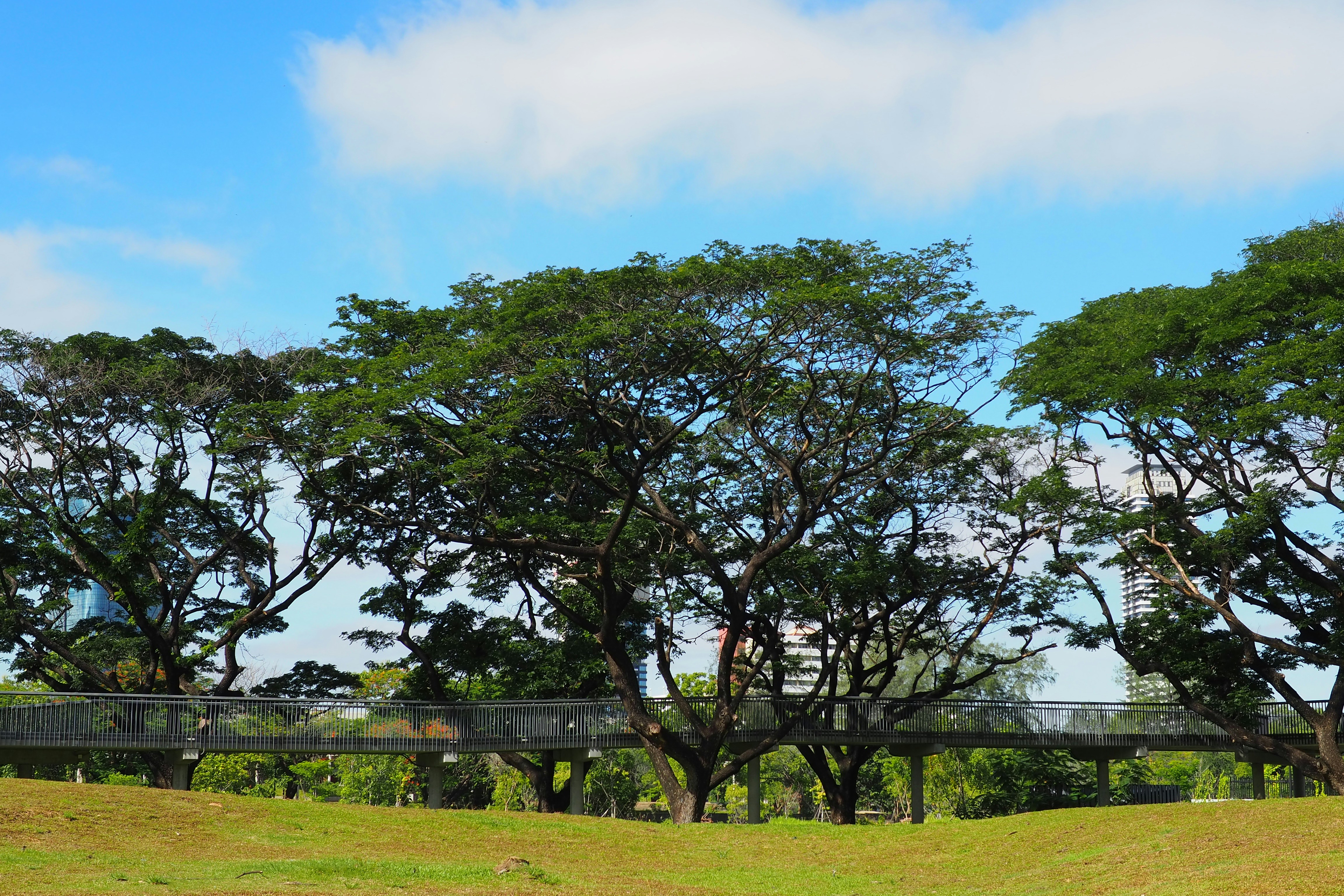 Photo by rutpratheep