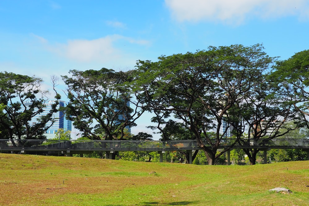 a park with trees and a bridge