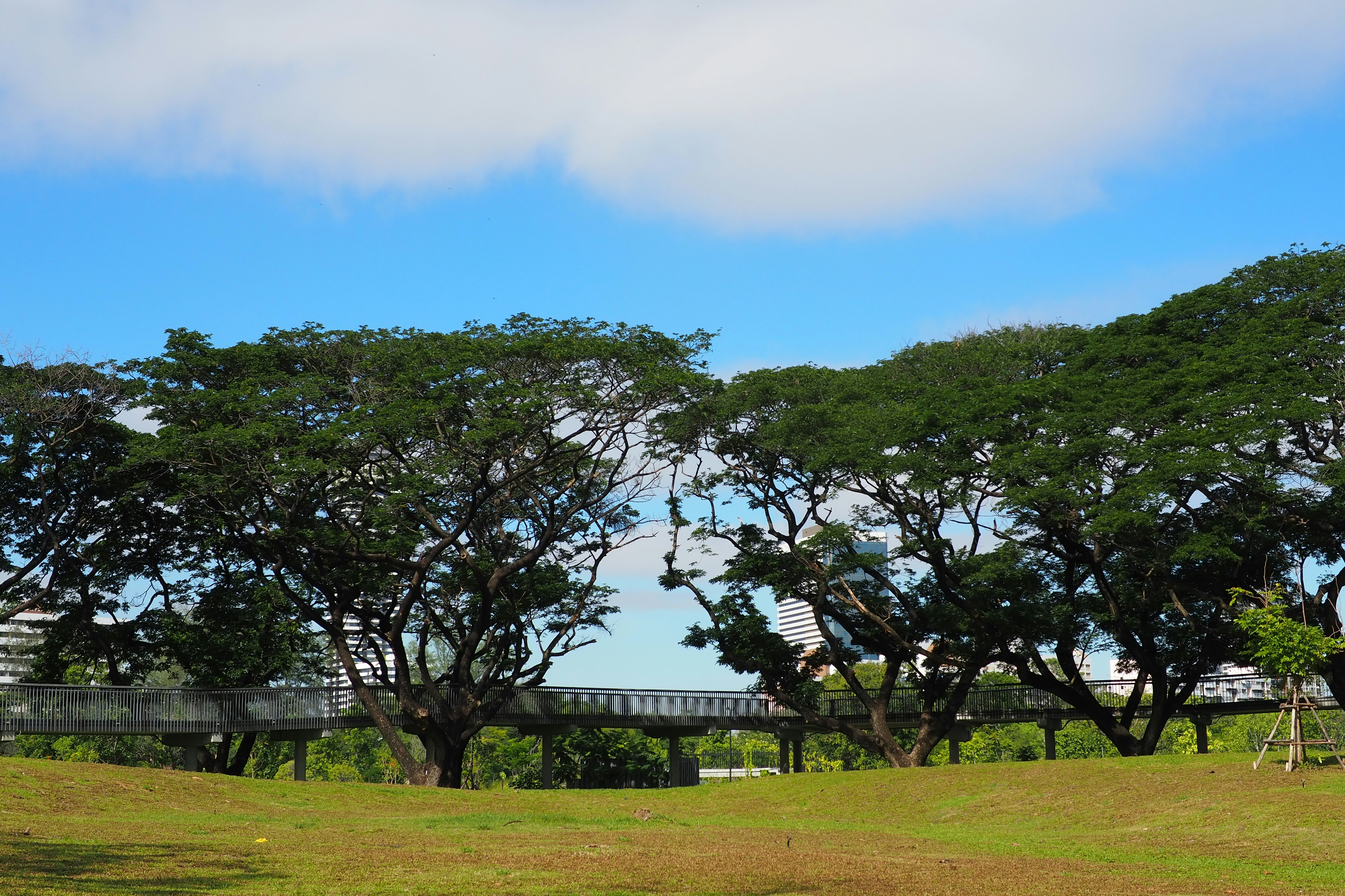 Photo by rutpratheep