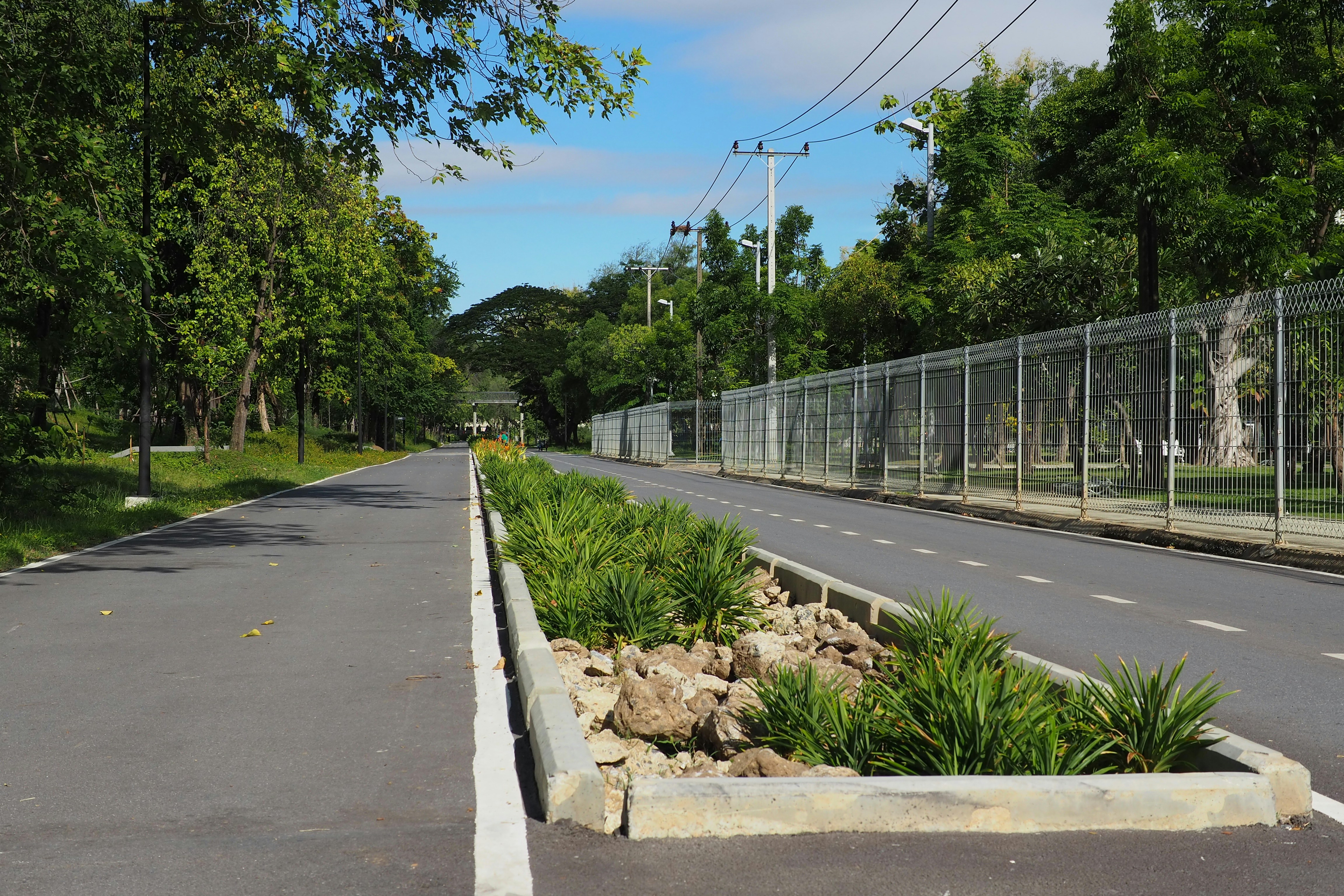 Aviemore Drive Drainage Reserve