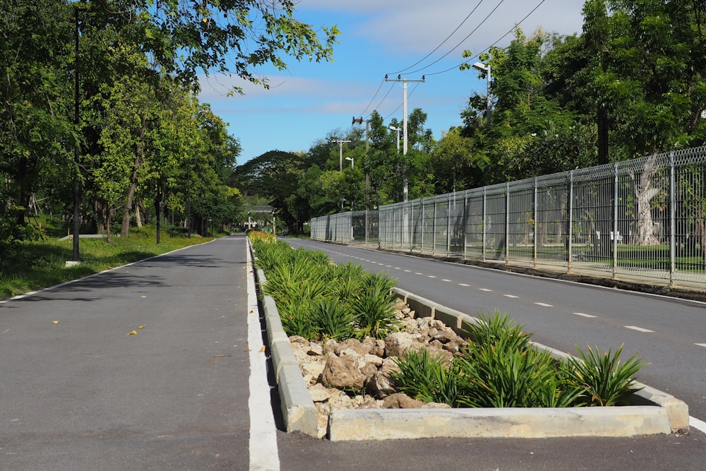 a road with a fence and trees on the side