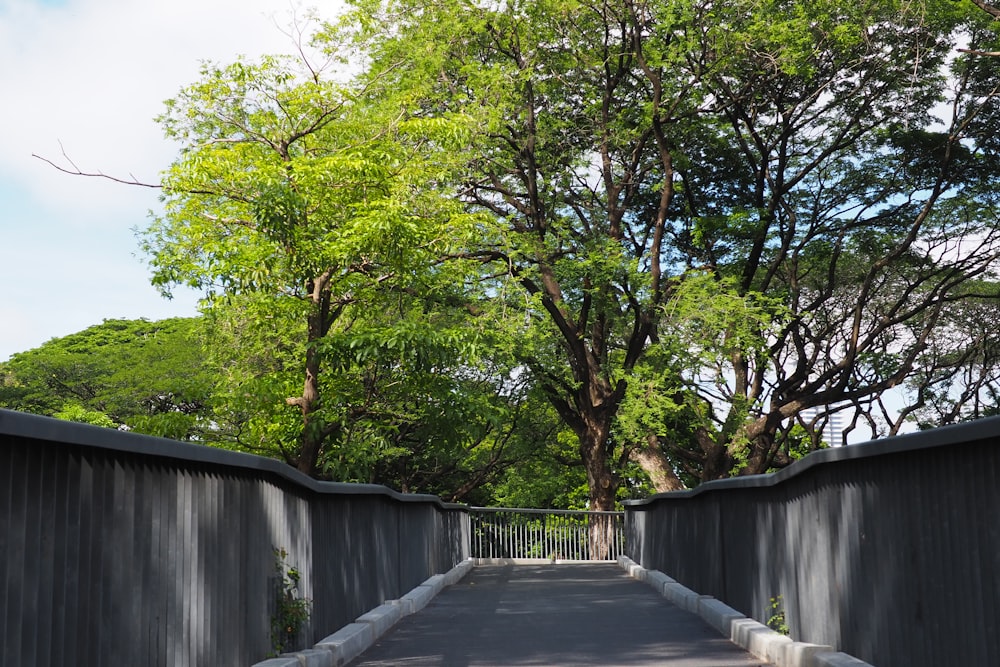 a road with trees on the side