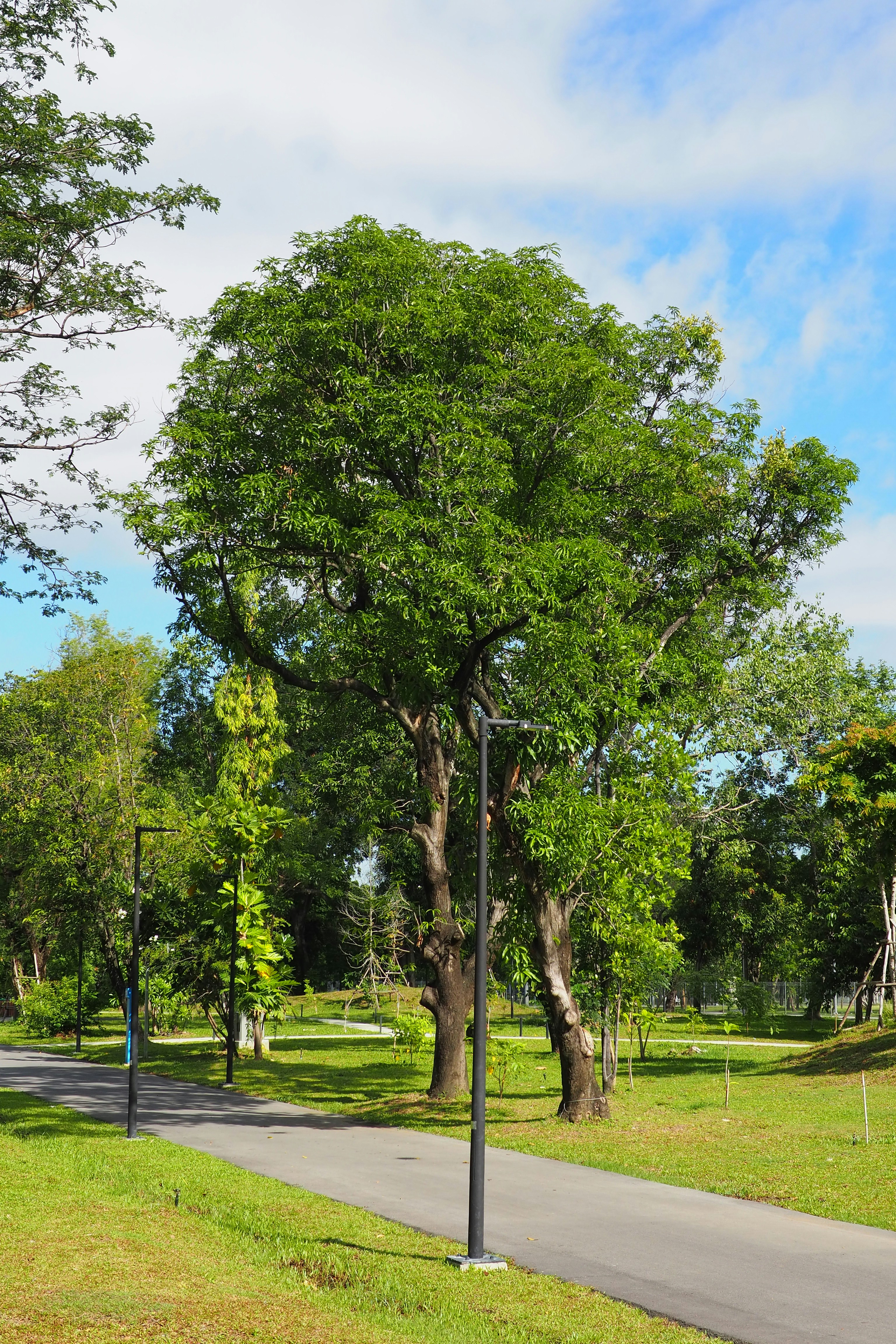 Photo by rutpratheep