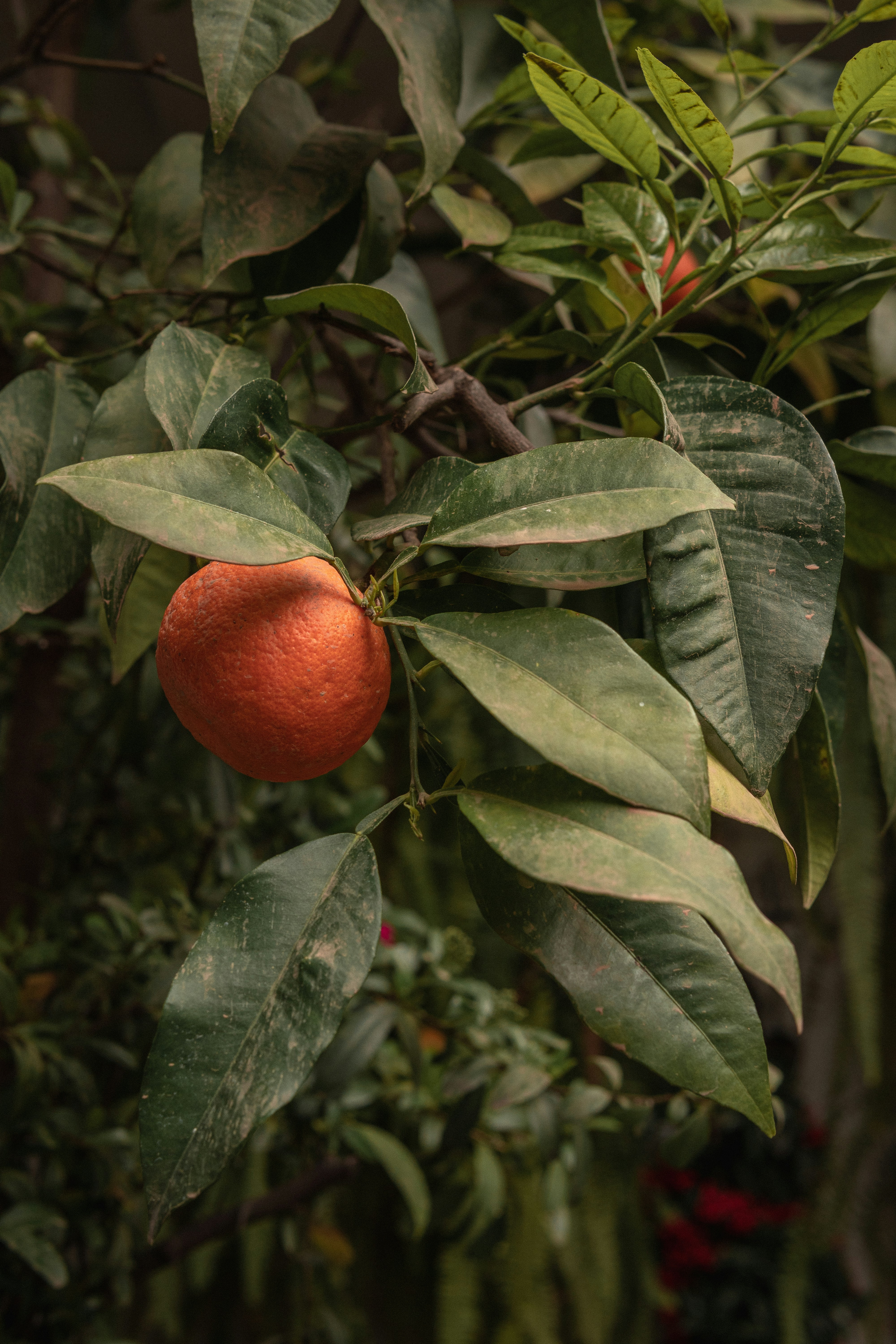 Photo by alex_quezada