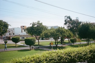 A community park with families enjoying walking paths and green lawns.