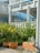 A vibrant garden scene featuring lush green foliage and several terracotta pots on a bed of white gravel. The background displays a blue building with white railings, giving a tropical and relaxed atmosphere. A ceiling fan and some outdoor decor are visible on the building's balcony.