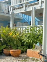 A vibrant garden scene featuring lush green foliage and several terracotta pots on a bed of white gravel. The background displays a blue building with white railings, giving a tropical and relaxed atmosphere. A ceiling fan and some outdoor decor are visible on the building's balcony.