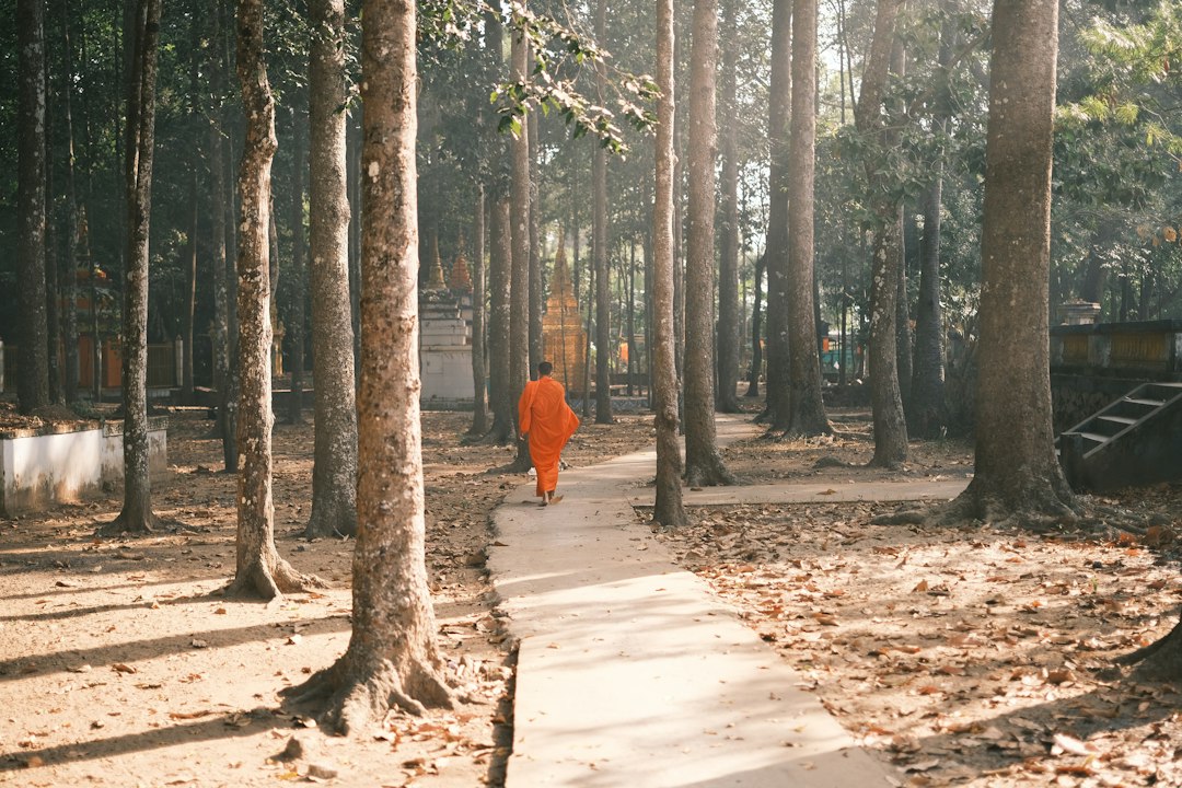 a person walking on a path in a forest