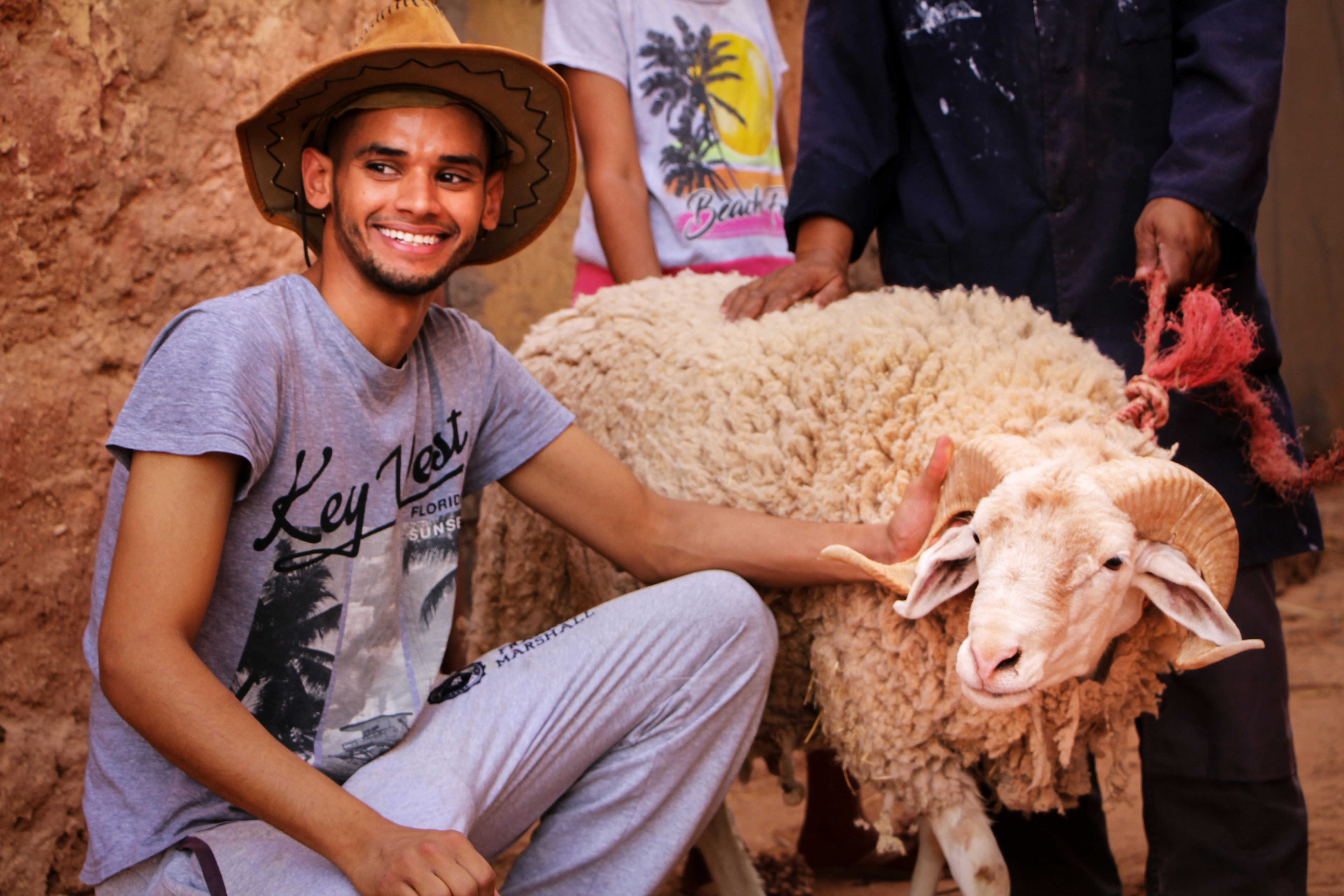 Tips Menjual Hewan Qurban Secara Online