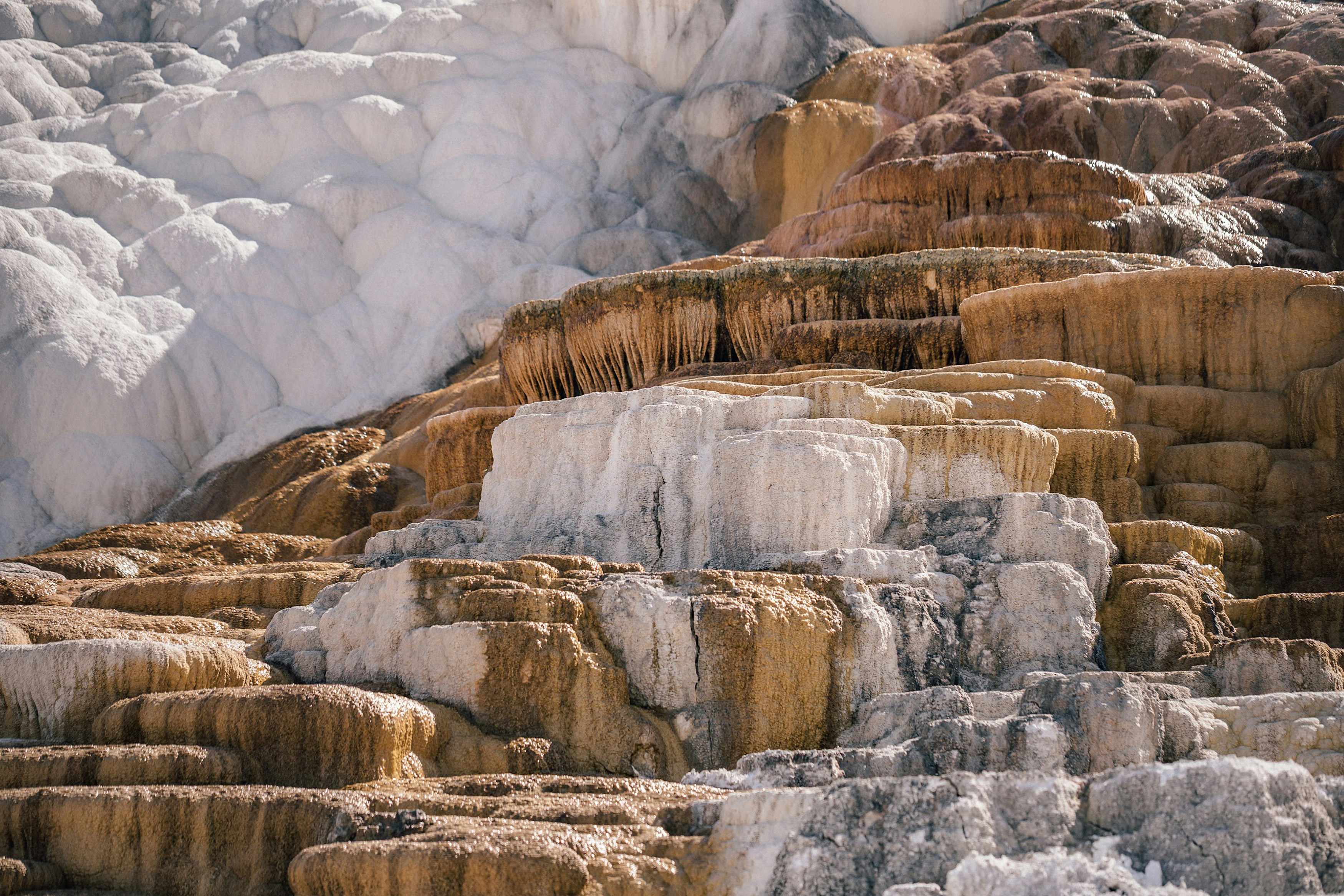 Wallace Langham, star of the "CSI" TV franchise, has landed a role on the "Perry Mason" series.