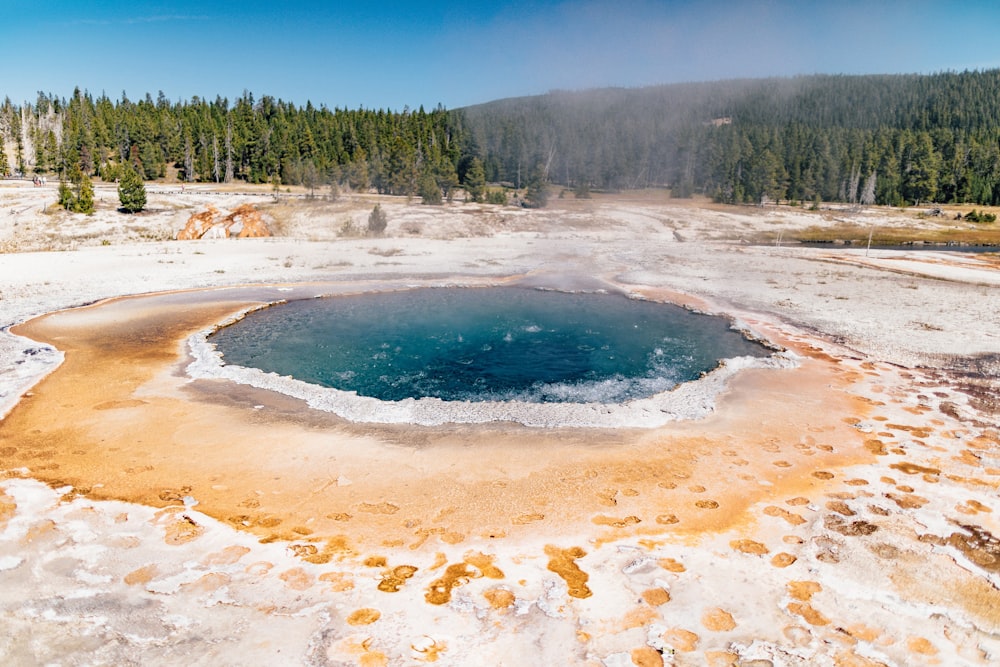 a small pool of water