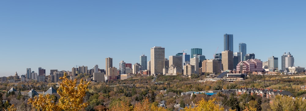 a city skyline with trees and grass