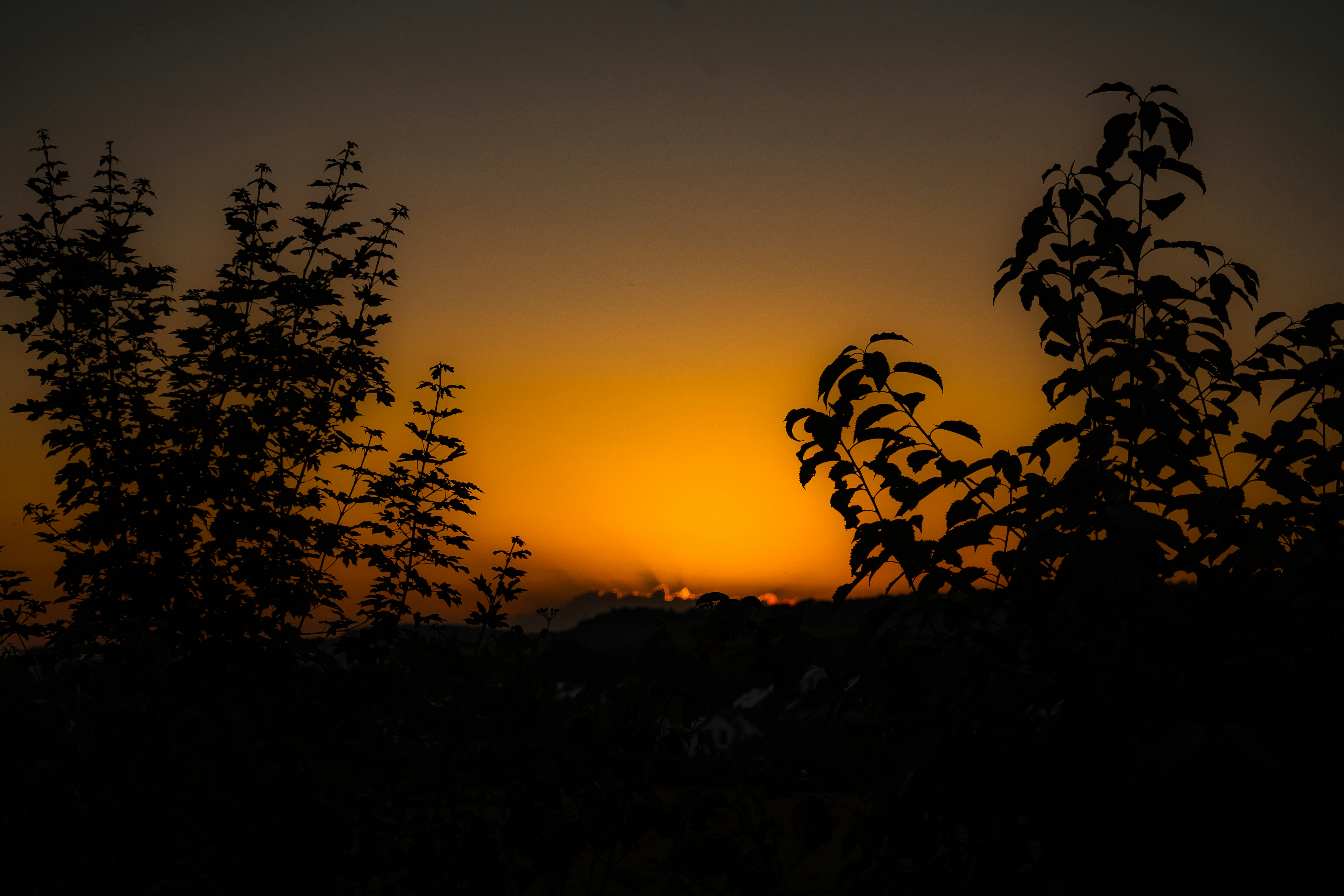 Photo by benjaminmerkle