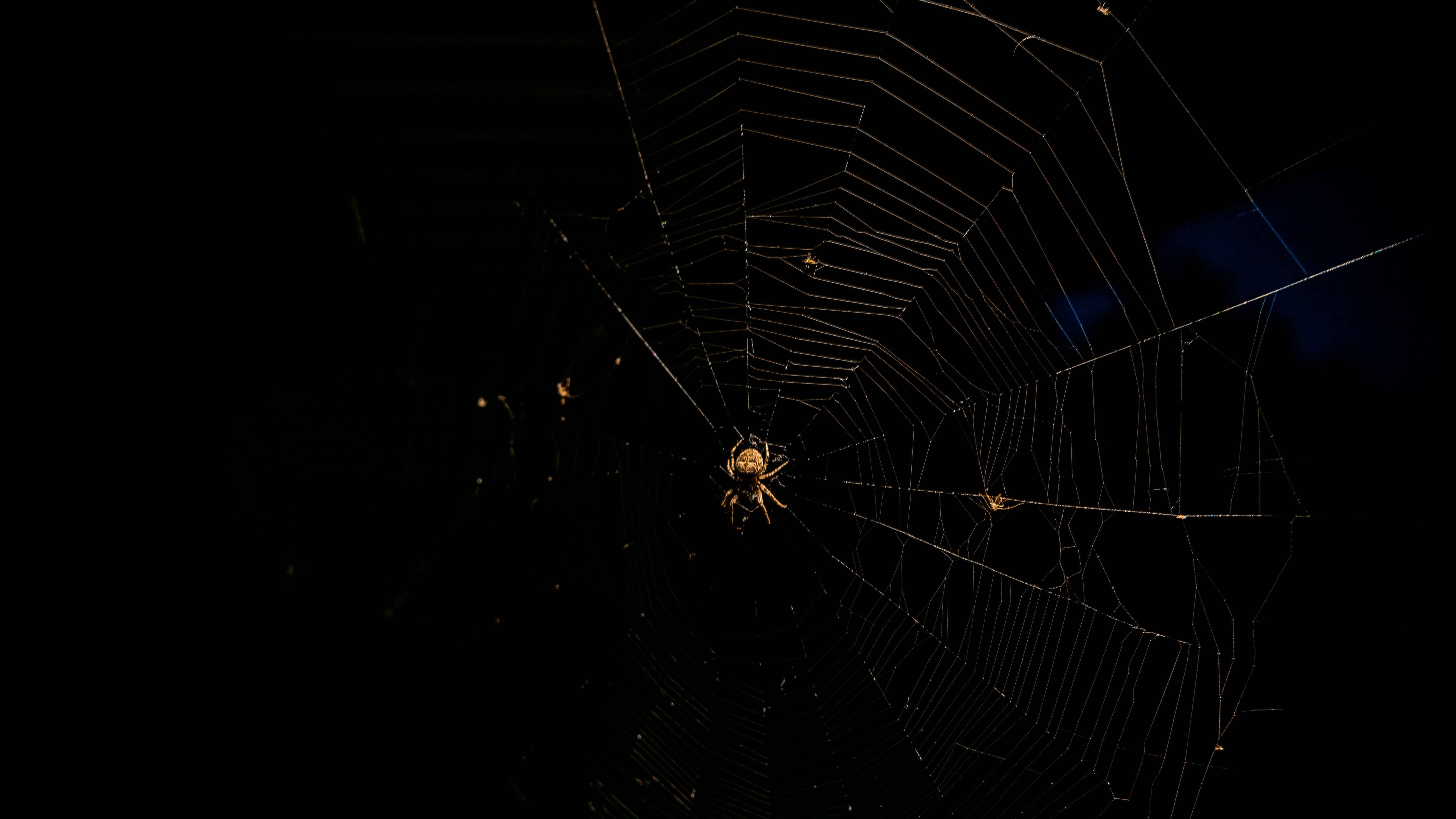 The web was massive
