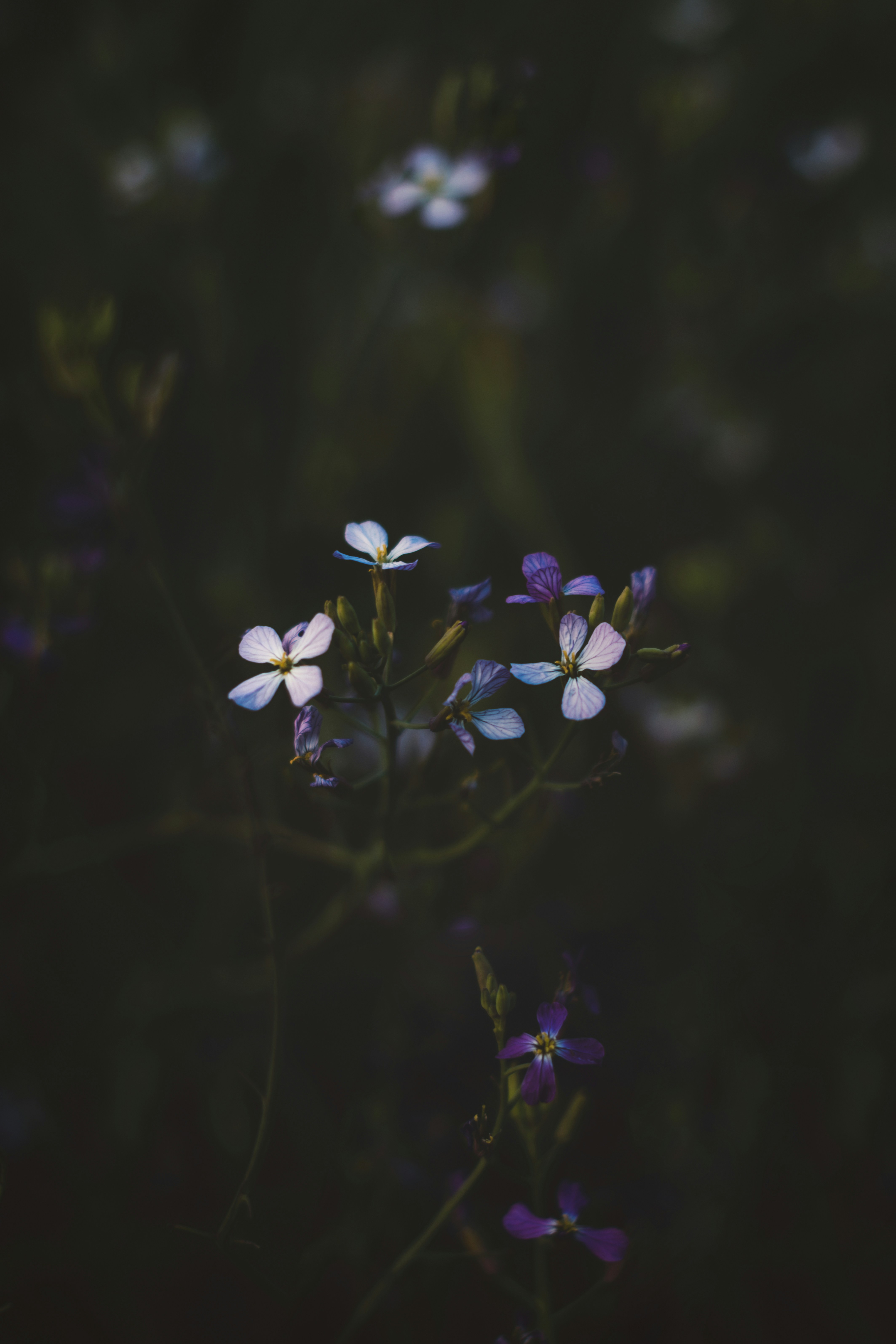 Photo by timmossholder