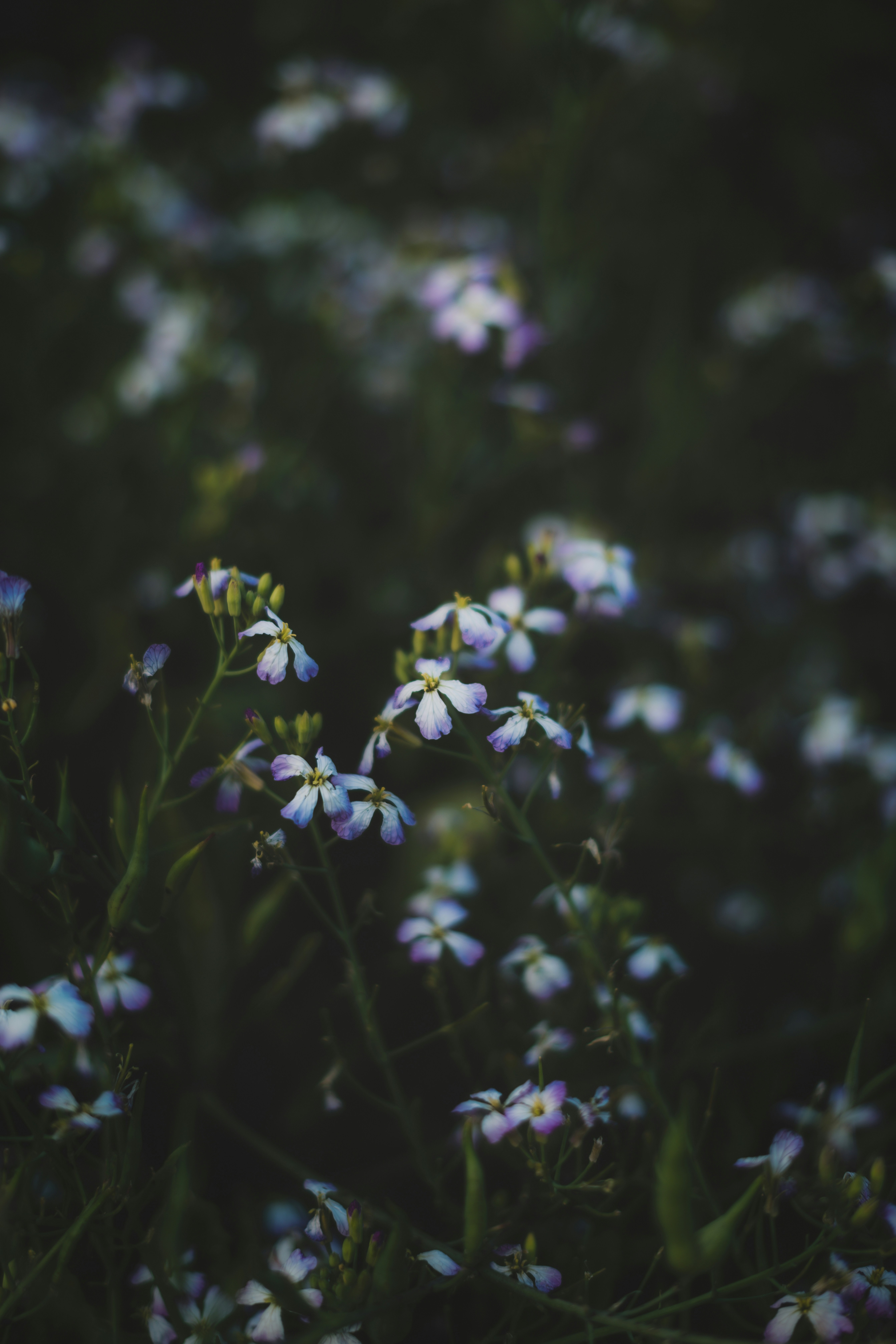 Photo by timmossholder