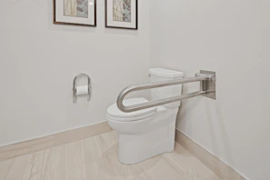 a toilet with a metal bar