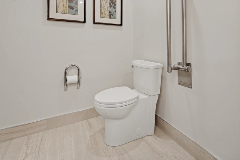 Smart Toilets & Modern Toilets — luxury bathroom detail in Chicago