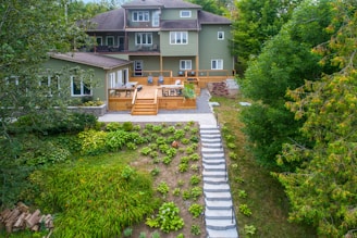 a house with a path and trees