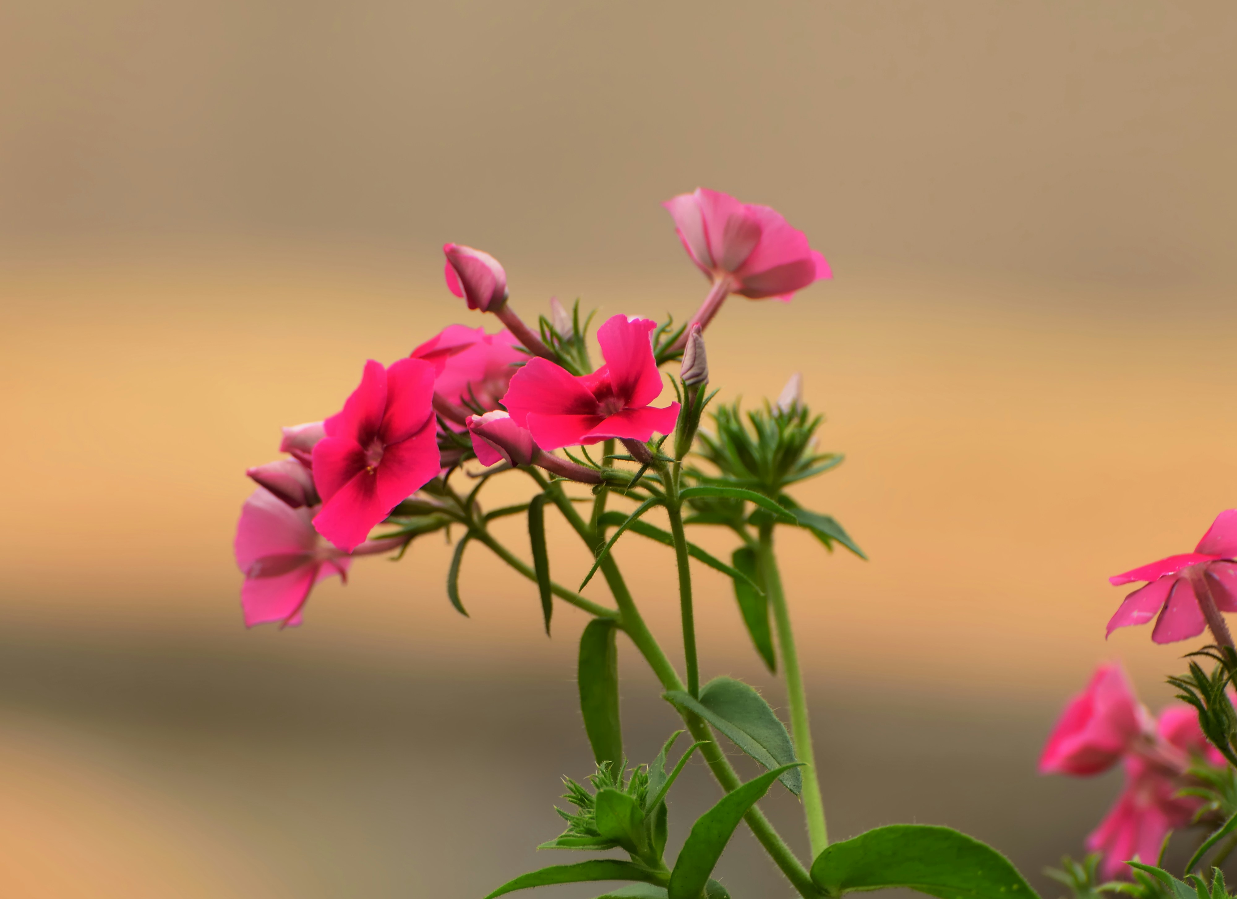 Photo by azxa661