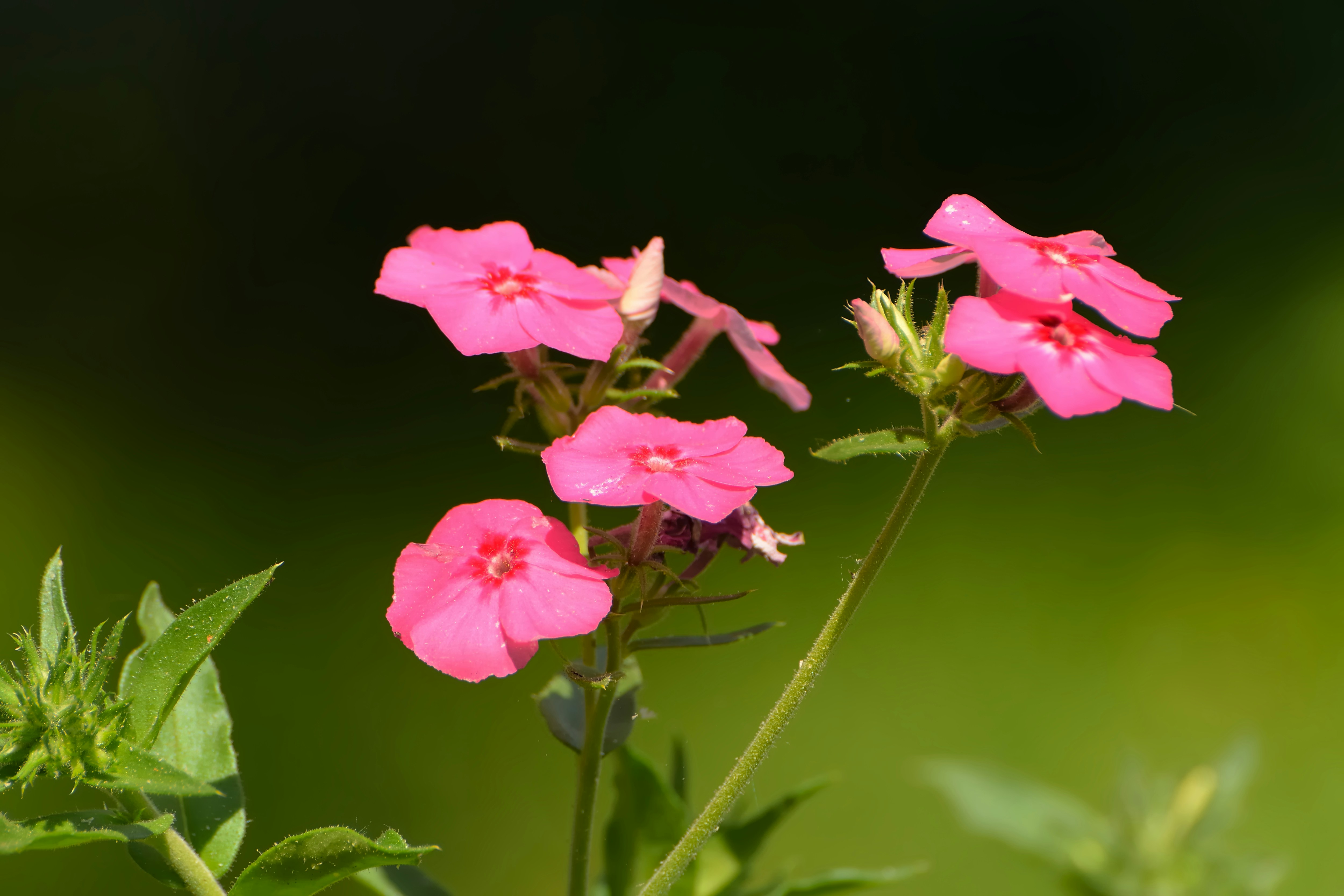 Photo by azxa661