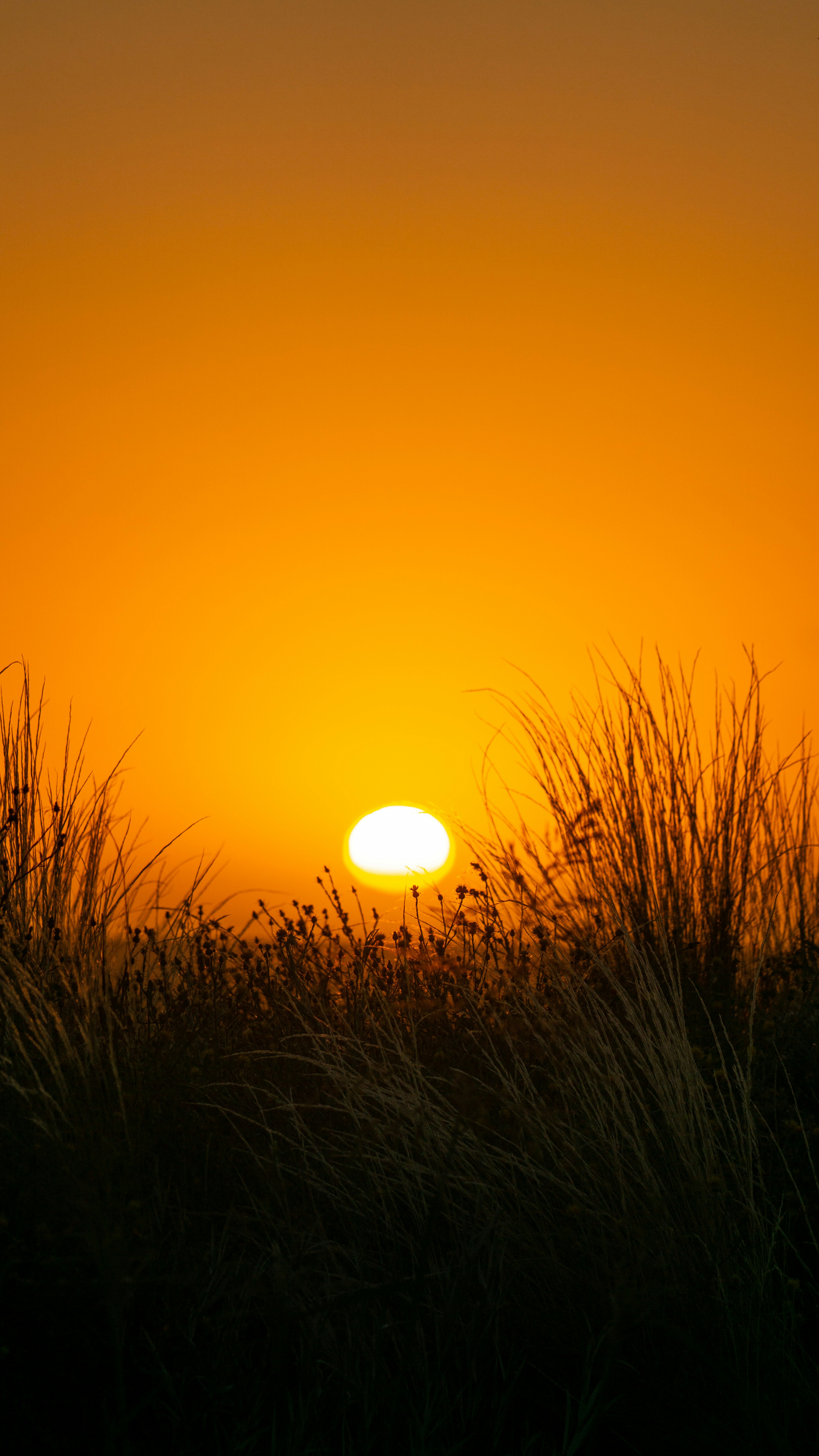 Photo by federicofaccipieri