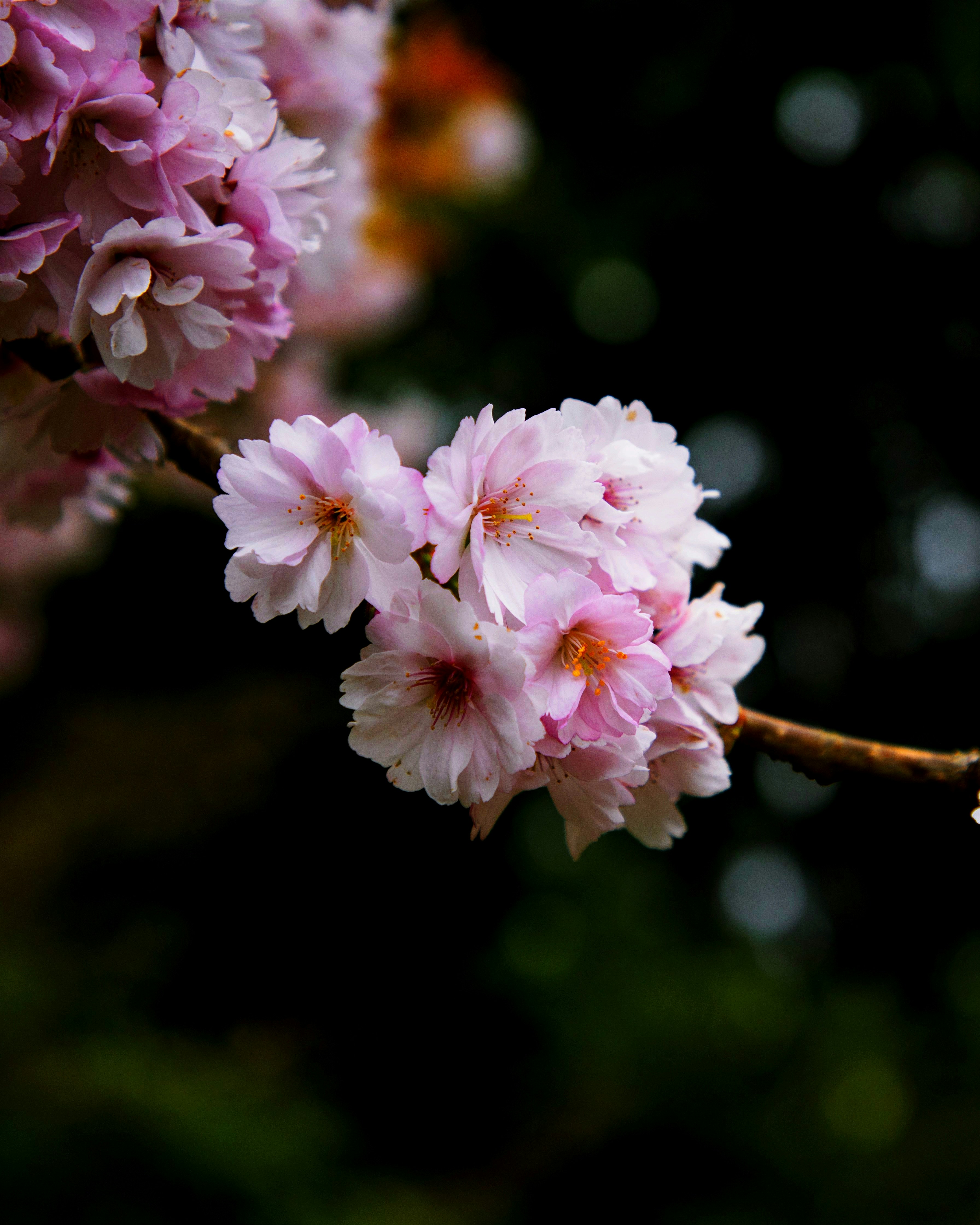 Photo by aastikmaurya