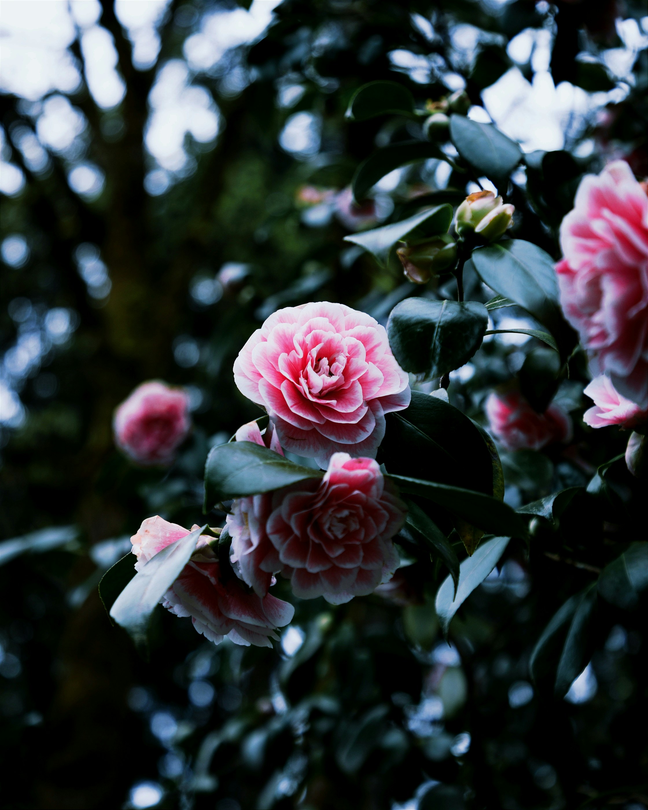 Photo by aastikmaurya