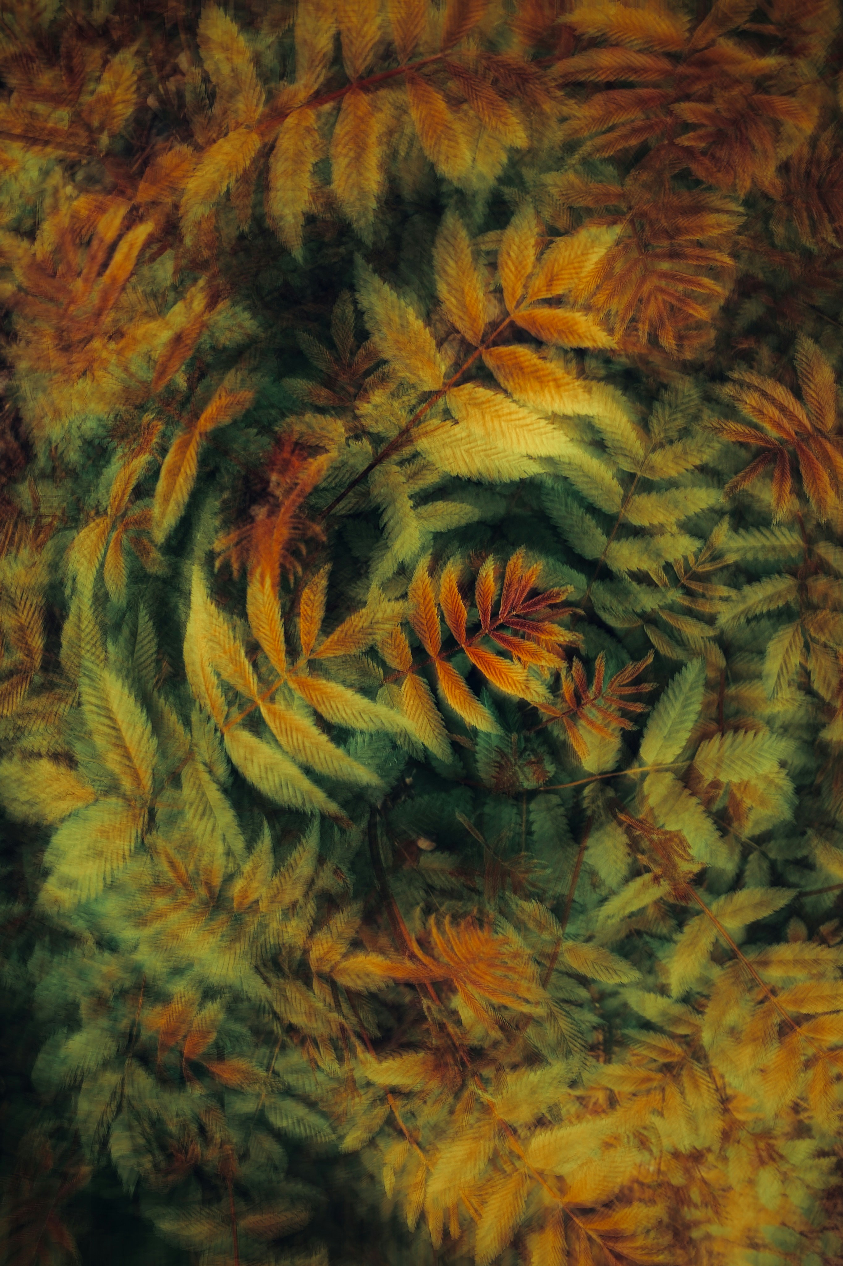 abstract nature wallpaper, wallpaper, Ultra HD Wallpapers: Enhance Your Screen 3