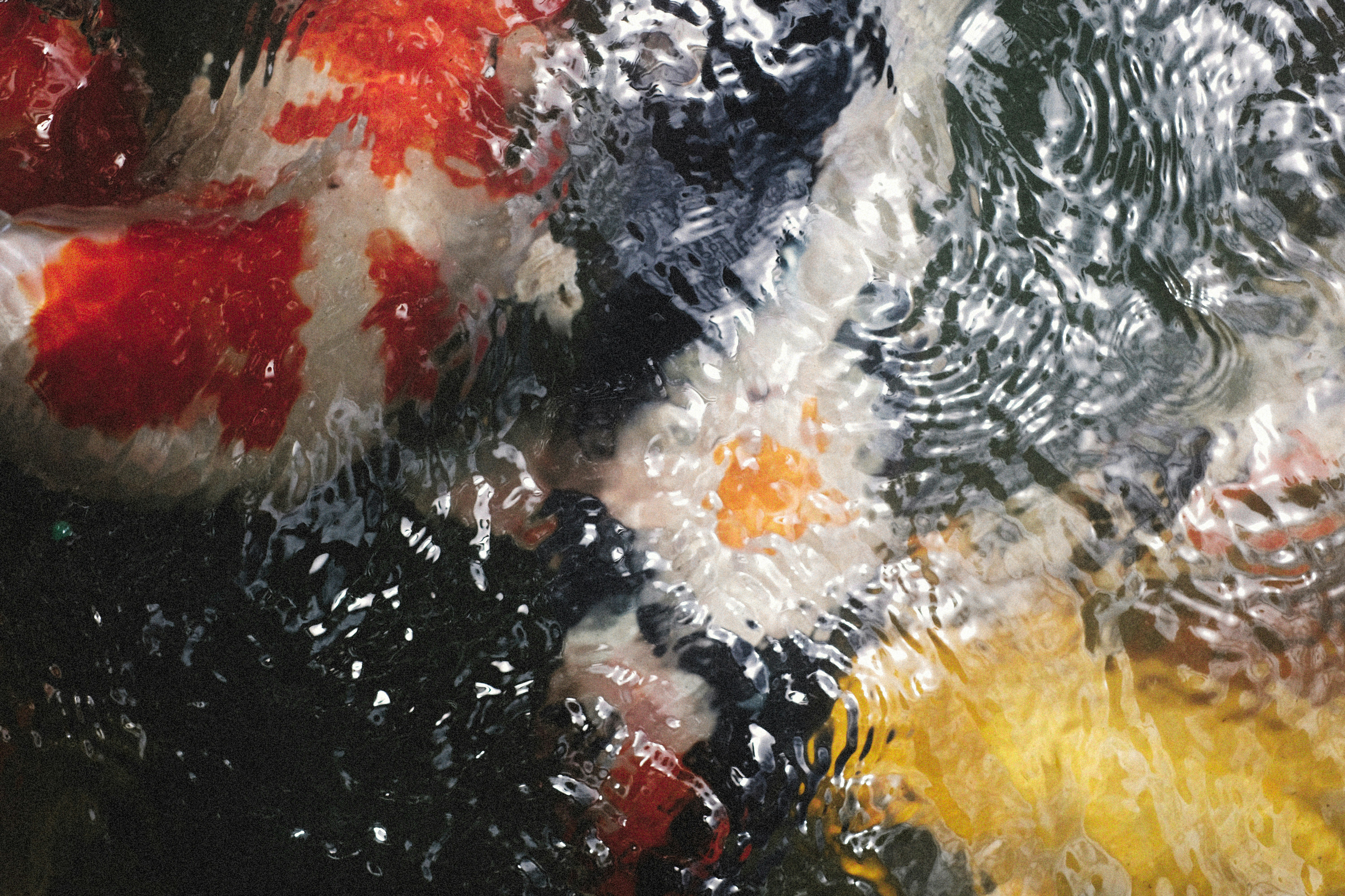 Photo by alexeydemidov