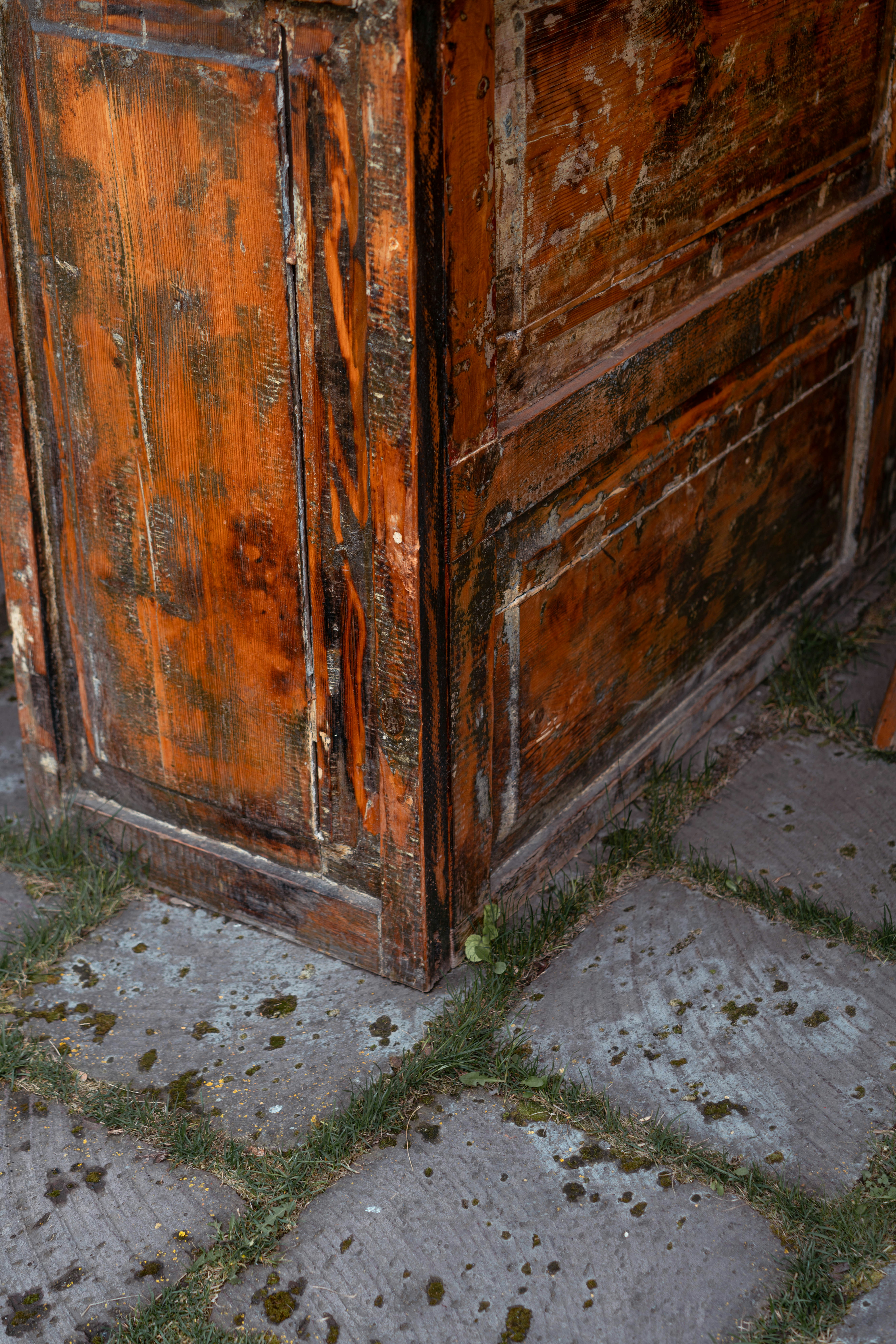 Photo by fairycarousel