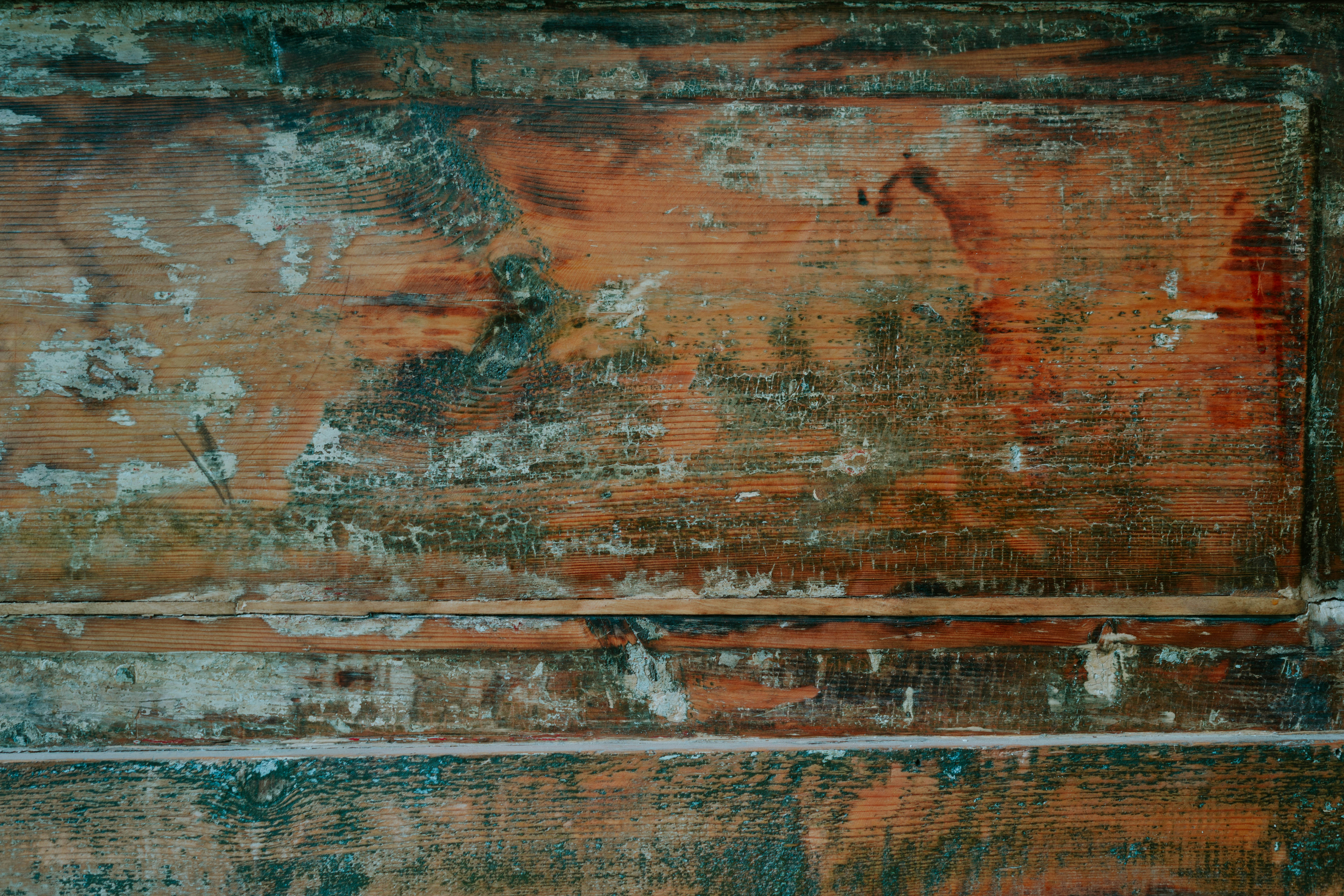 Photo by fairycarousel