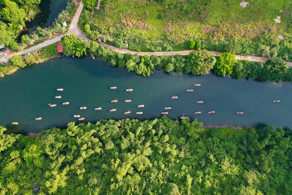 a body of water with trees around it