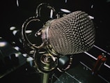 A close-up of a vintage microphone with a gothic-style raven emblem in the background.
