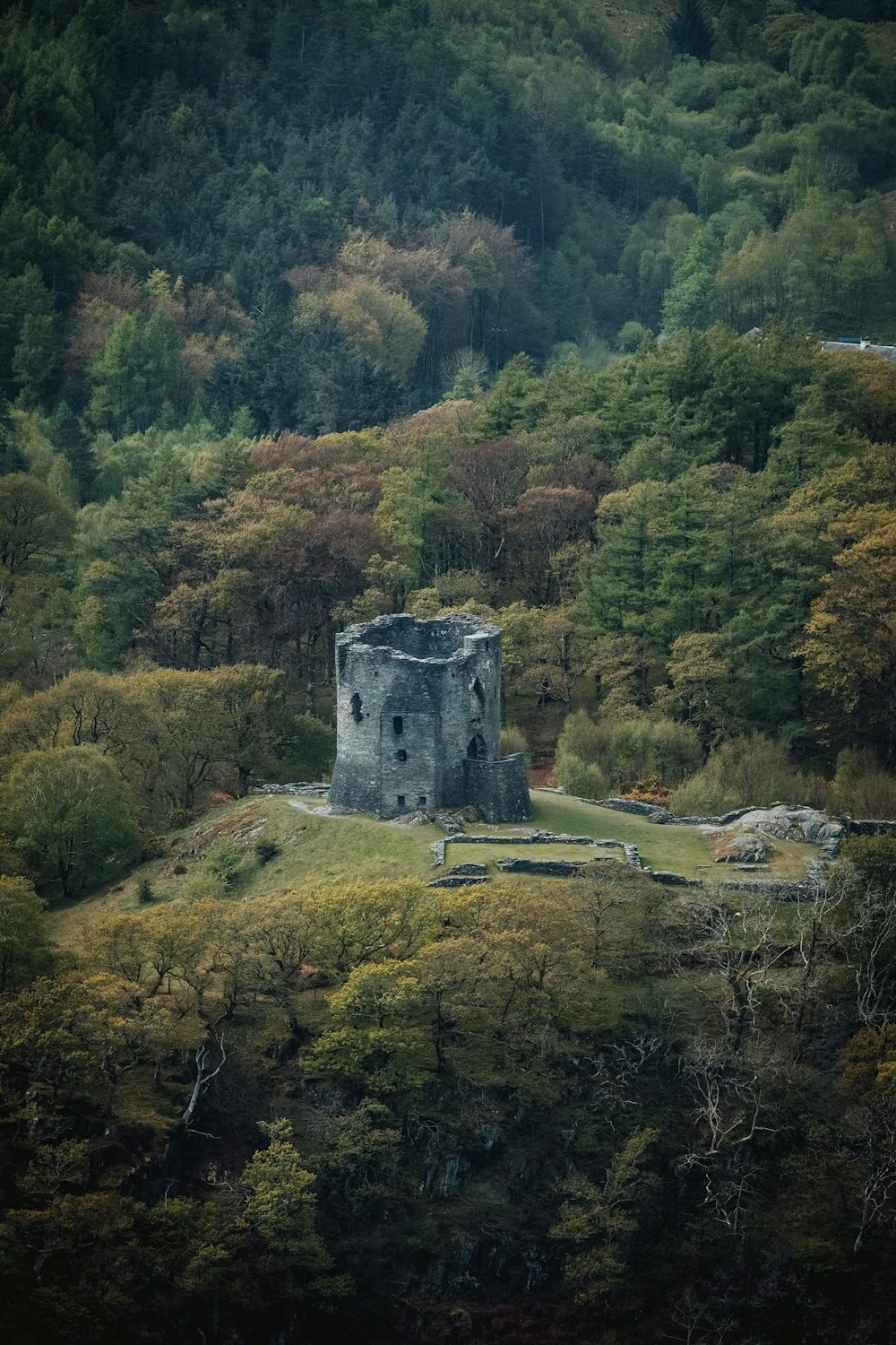 a stone structure in a forest