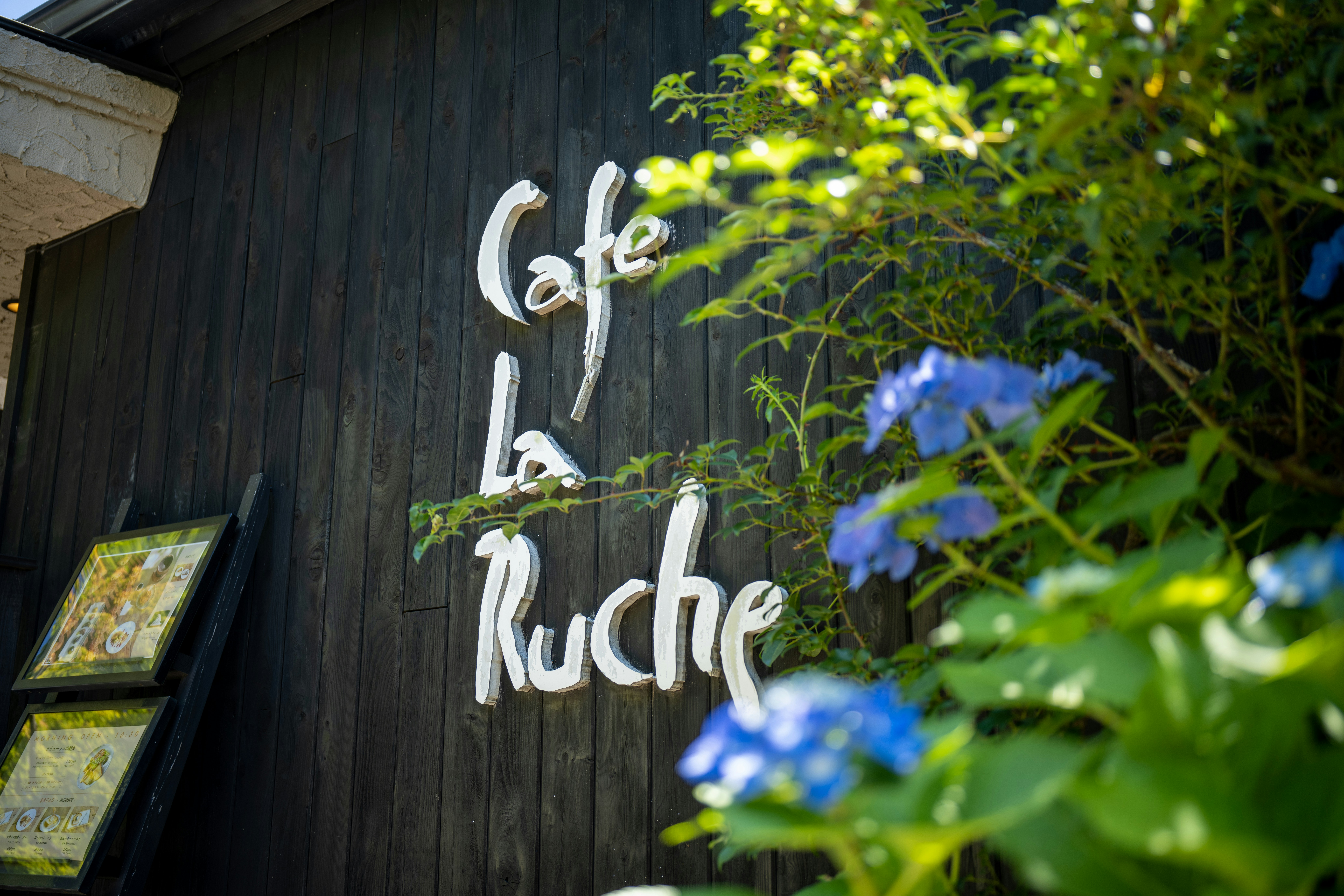 Cafe Ixchel