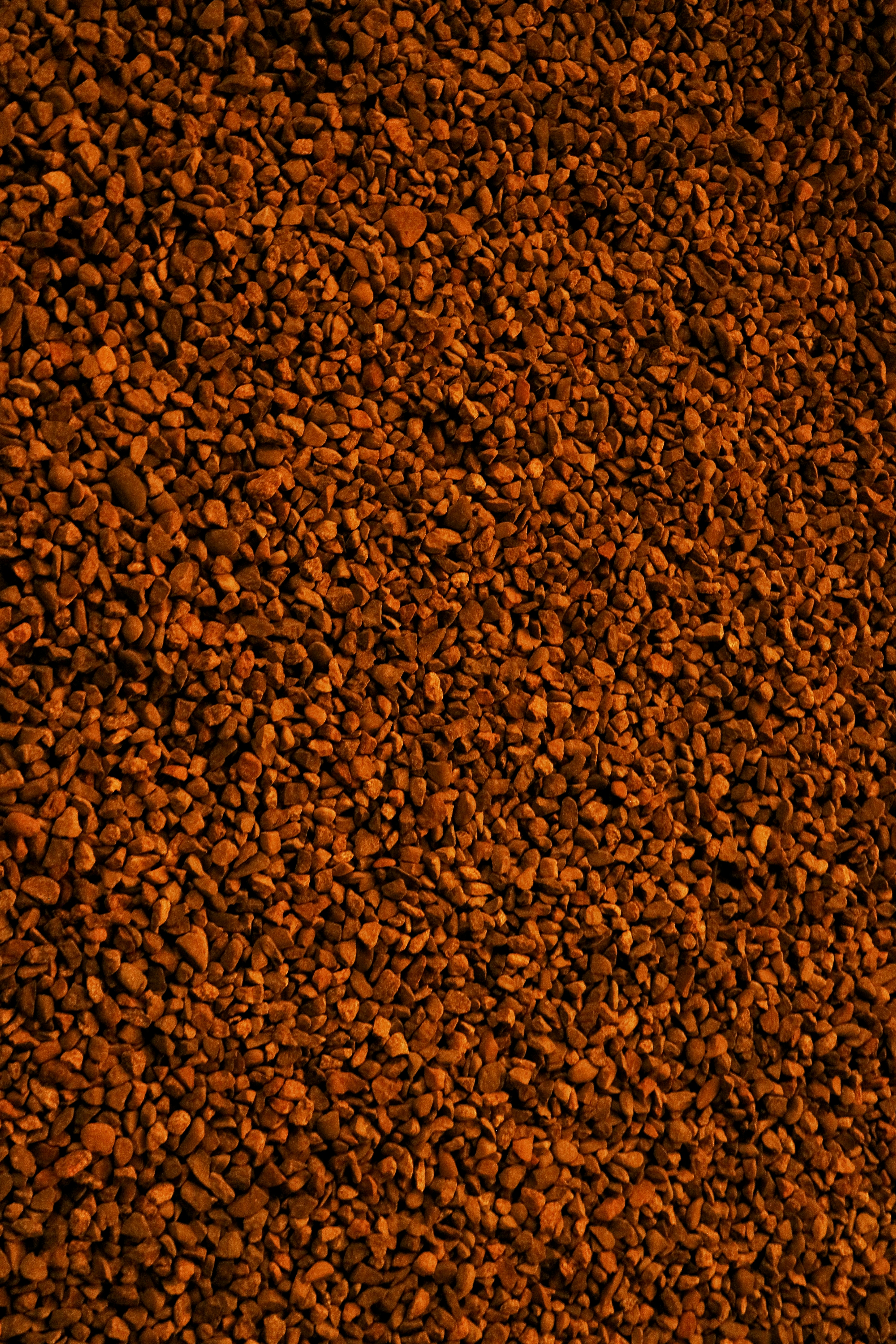 Photo by dsamatkulov