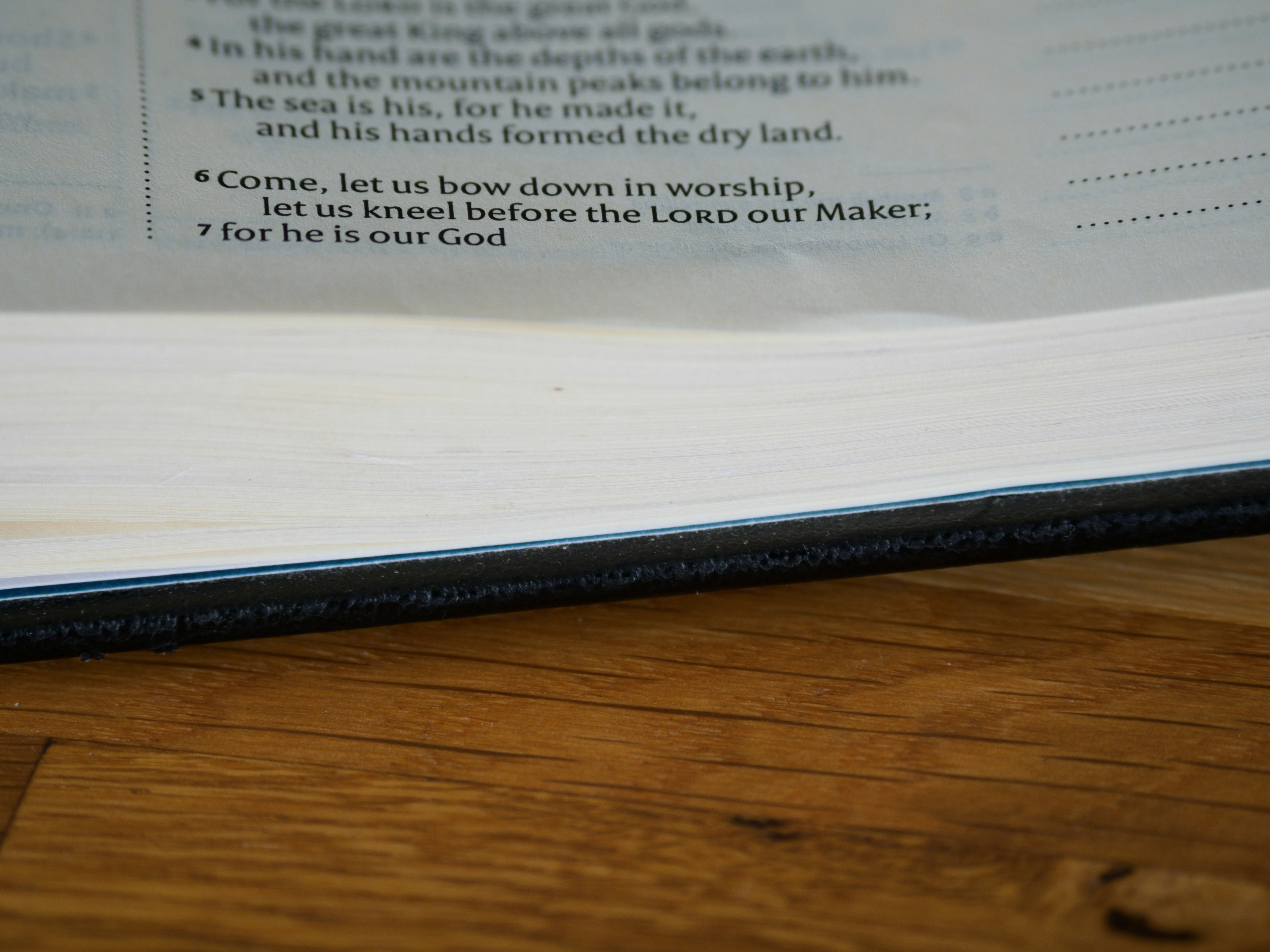 Photo by brett_jordan