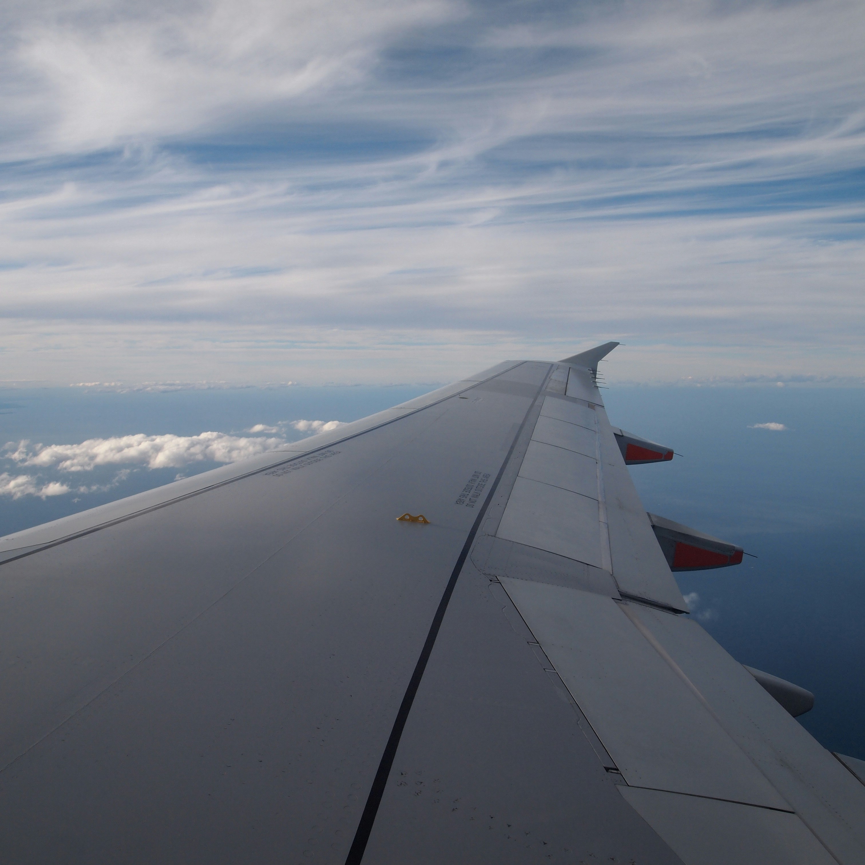 Photo by bluephoto118