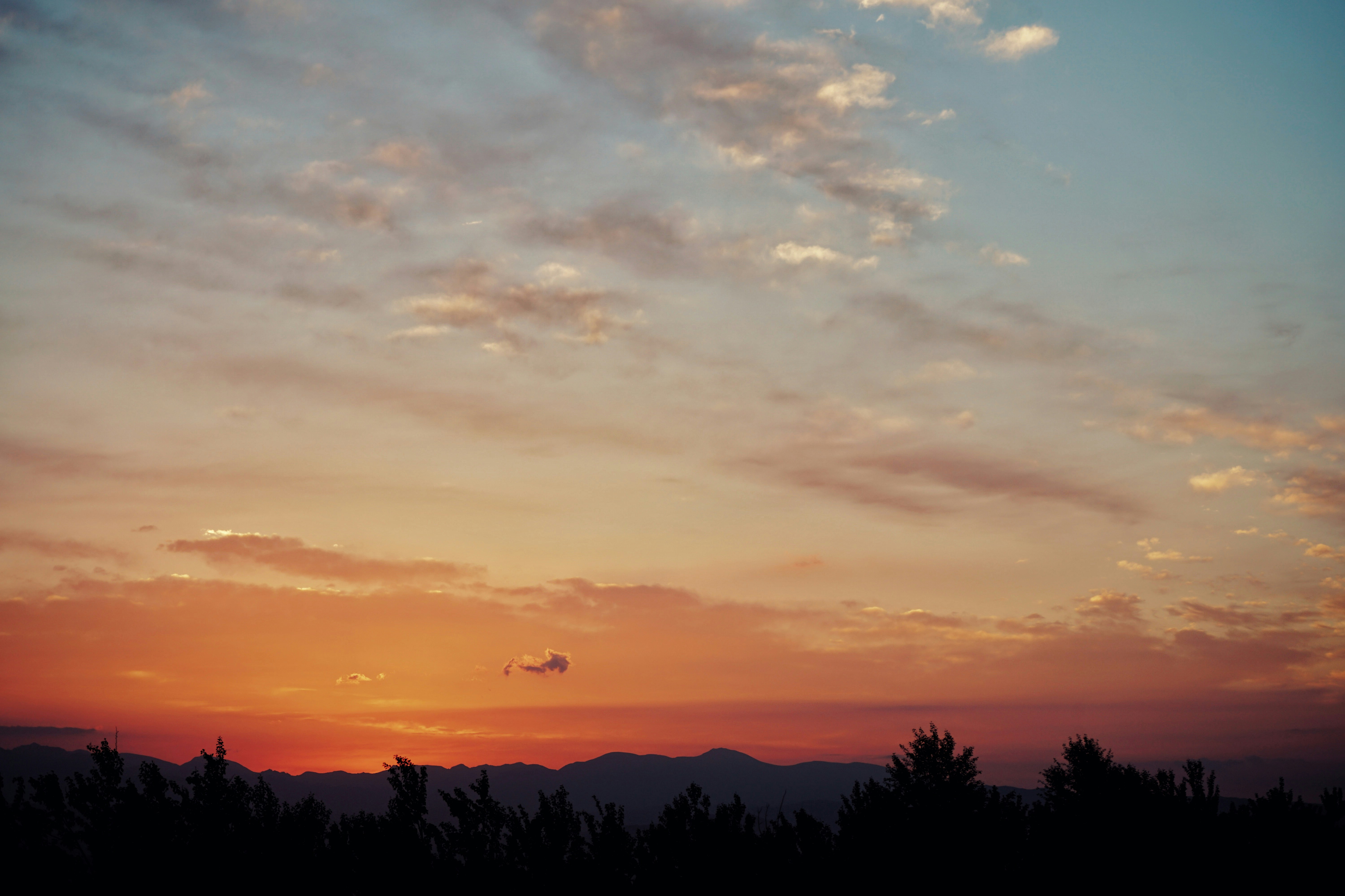 Photo by judahwester